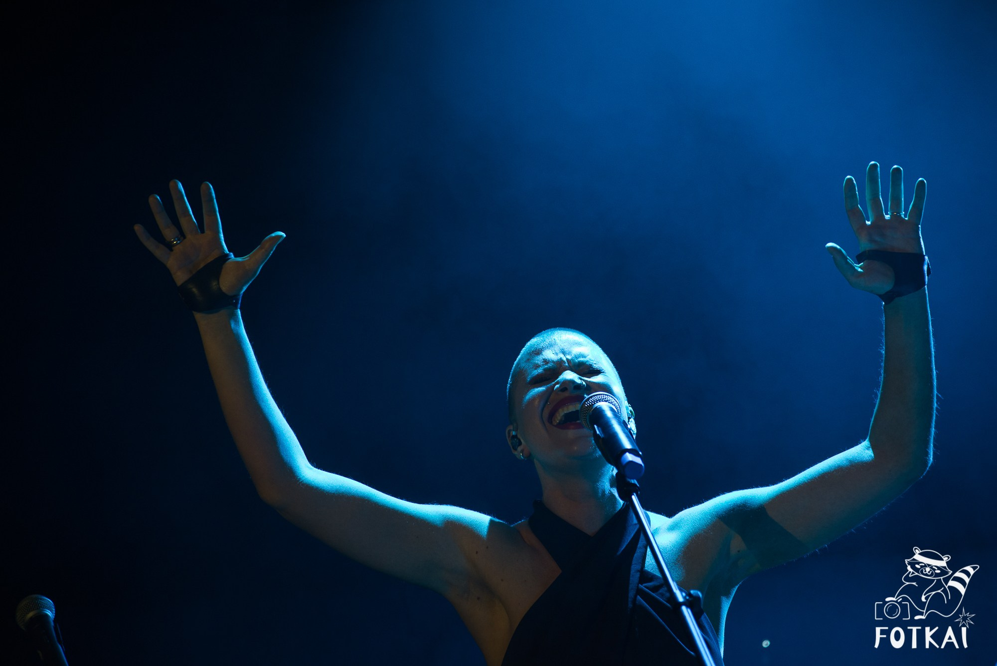 DDT — Fotos del concierto en Auditorio Roig Arena, Valencia, 2026 | FOTKAI