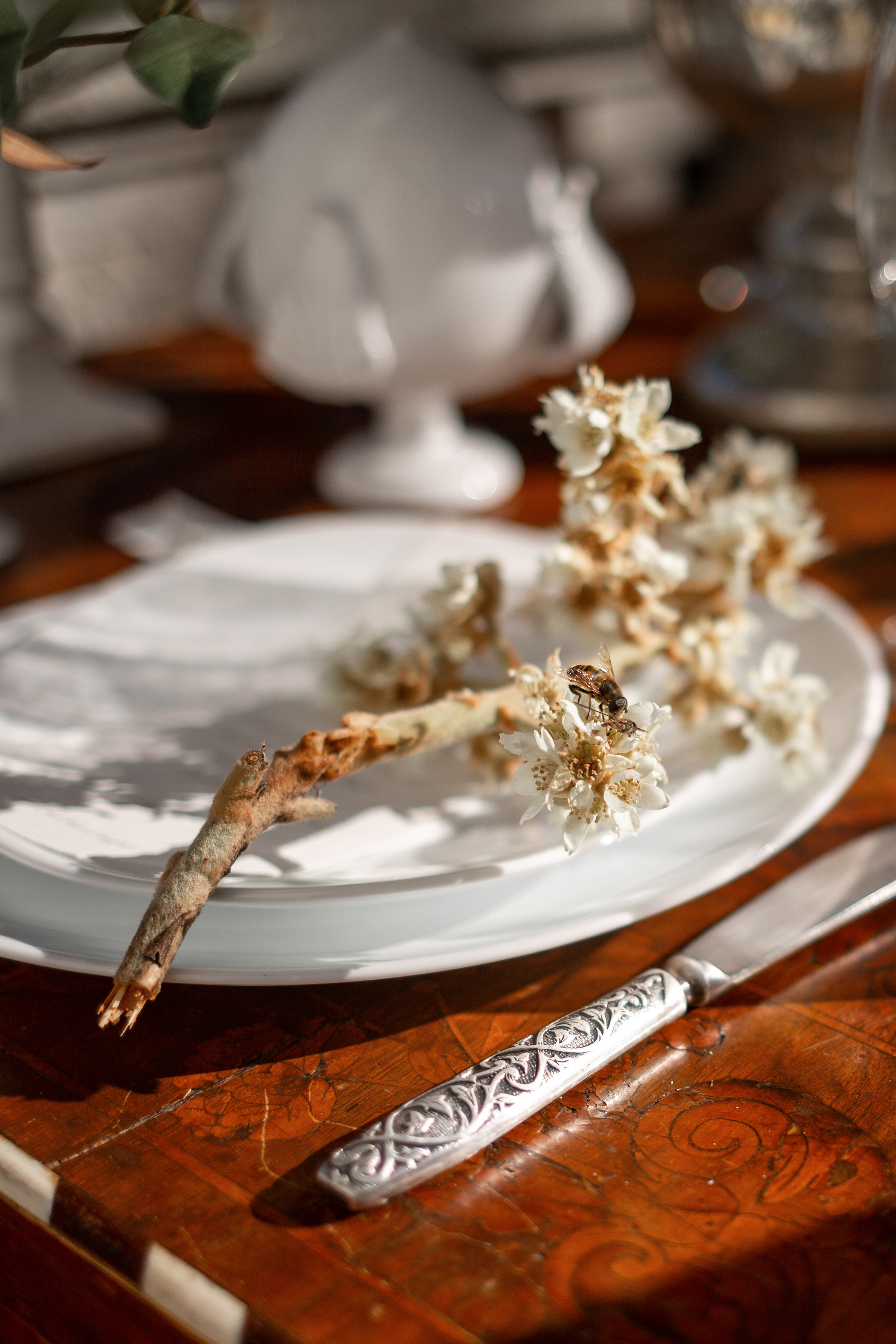 Wedding on the Como Lake. Photographer in Venice, Viktoria Antonova