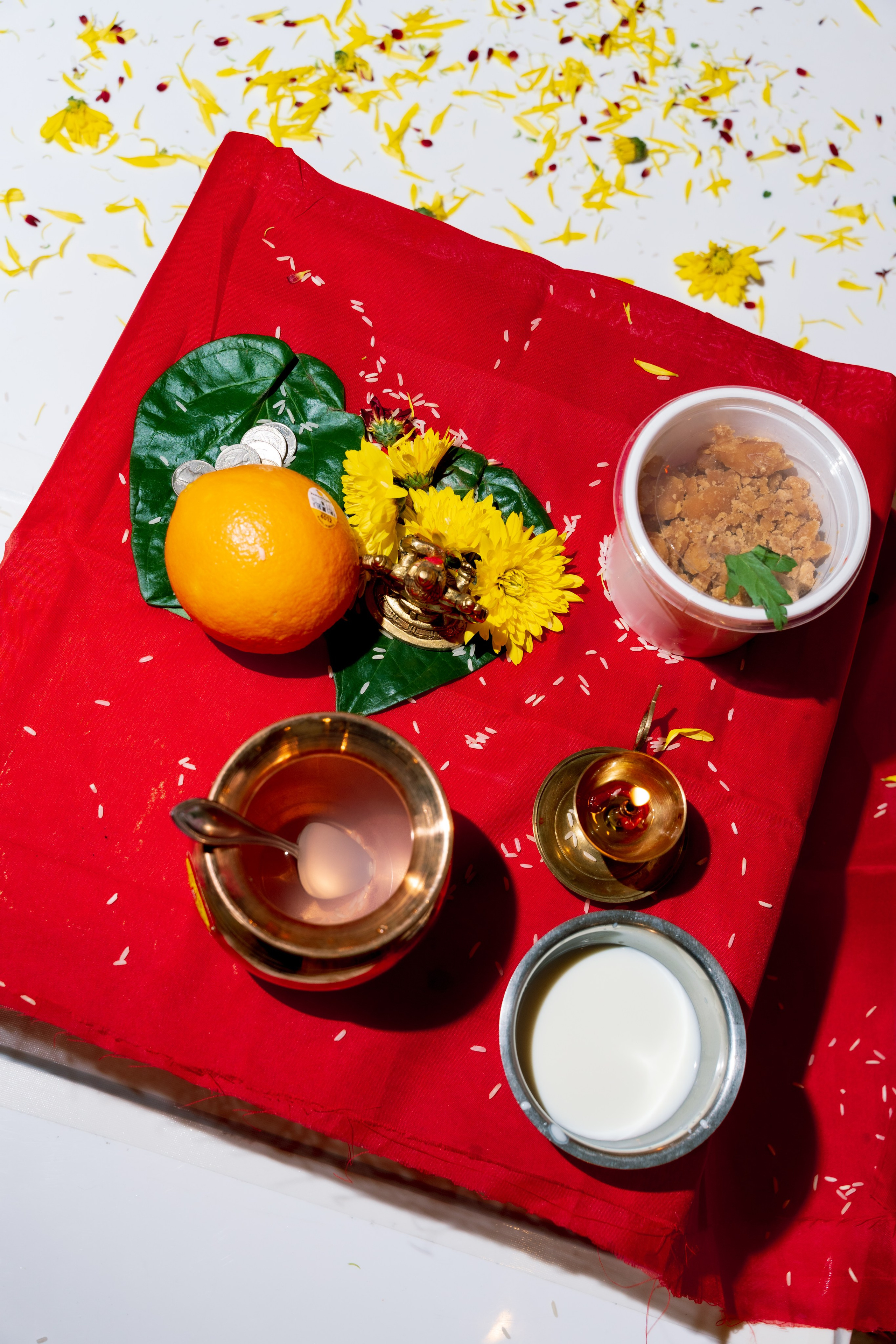 Sarah and Bhavin. Anna Krasnova Wedding photographer