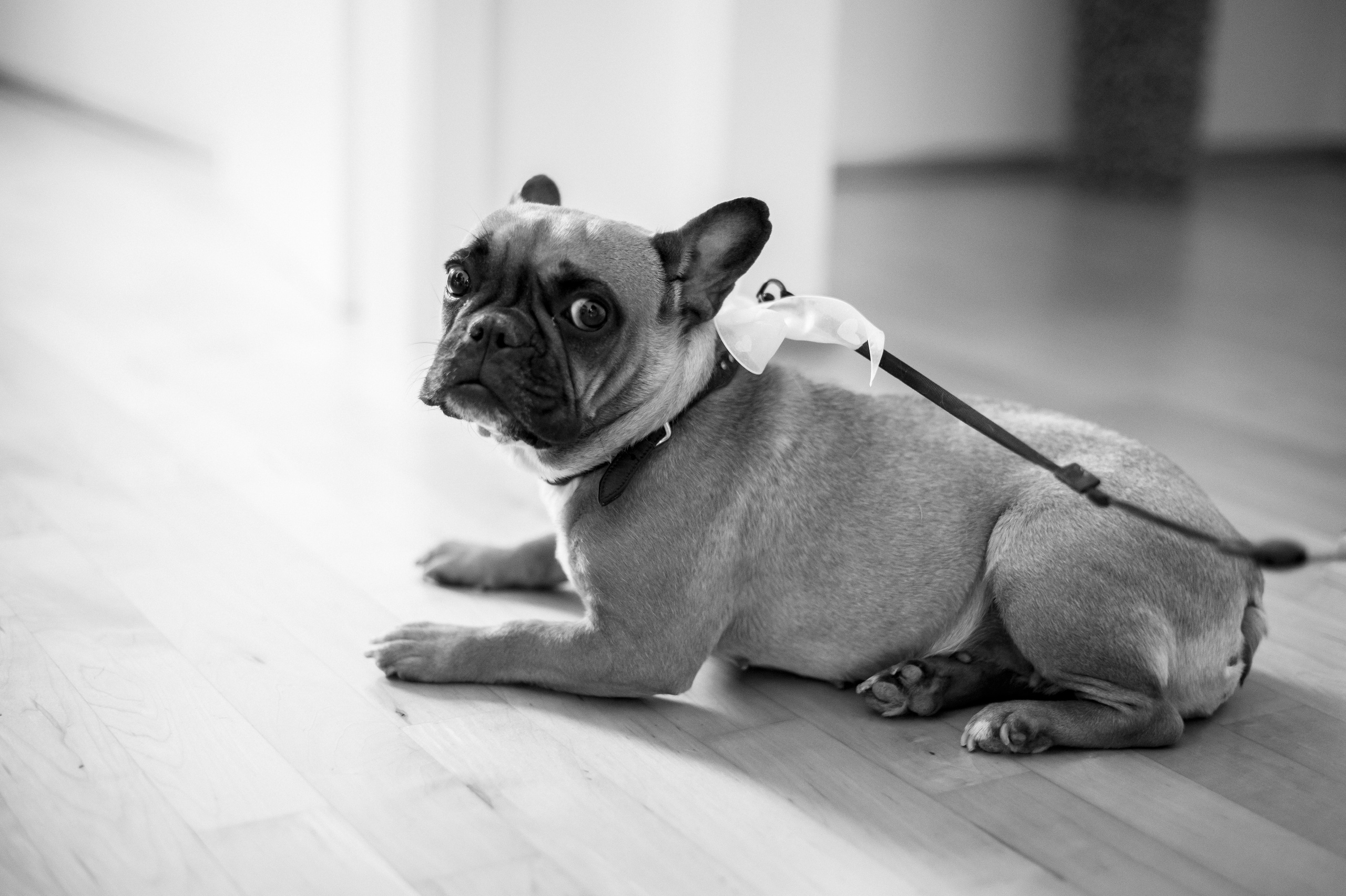 Hochzeitsfotografie, Ernesta & Carl, Hochzeitsmomente, Liebe im Fokus
