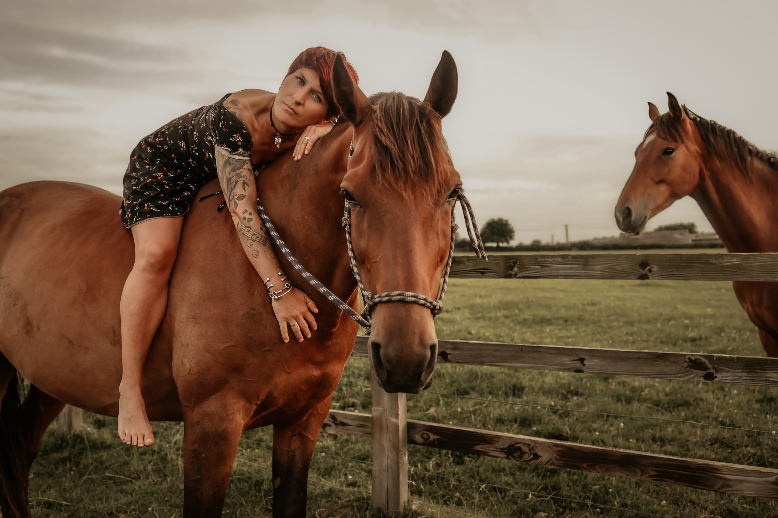 Soulmates. Photographer Co Dublin, Balbriggan — Agata Maliseva