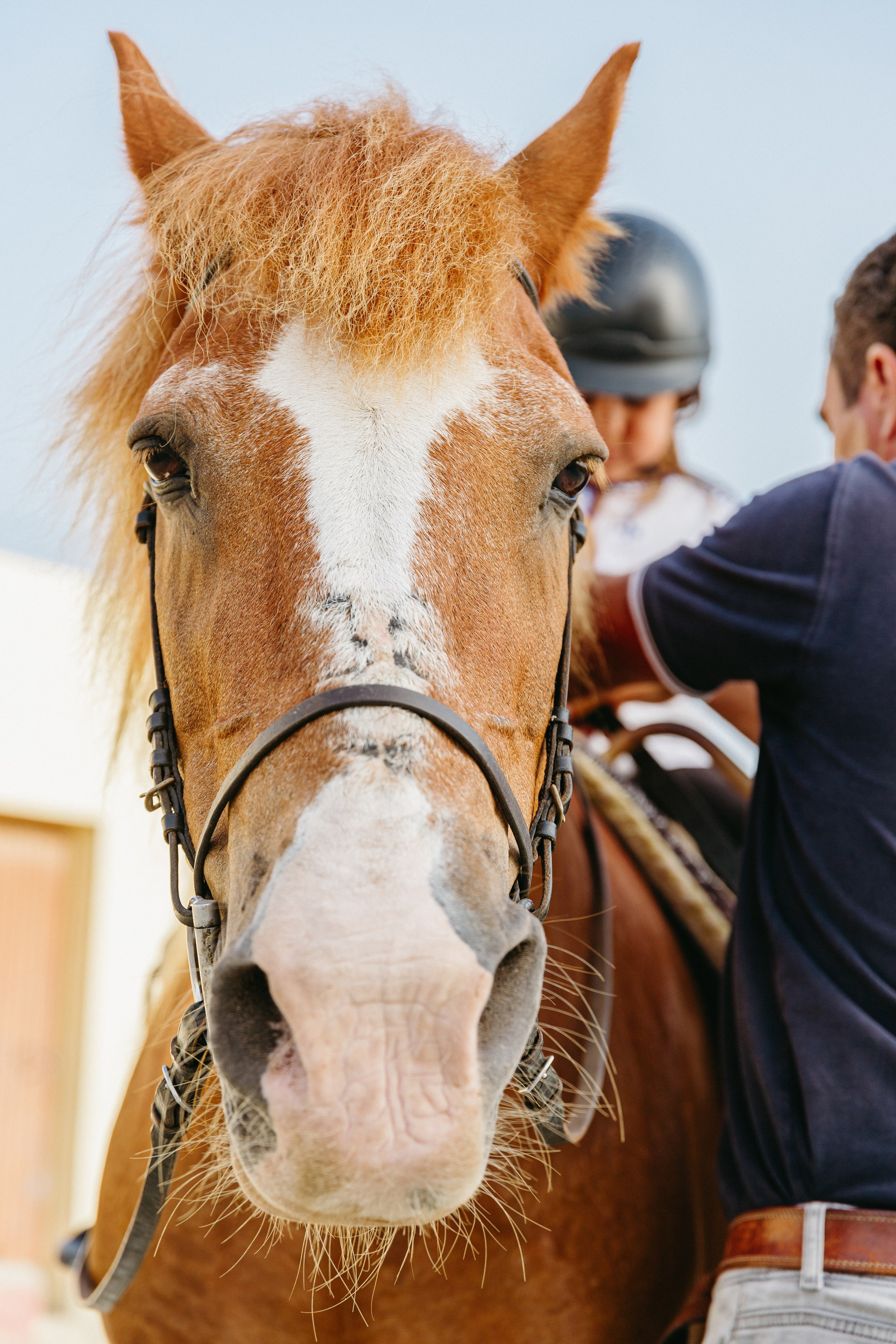 Marlene & Tiago com filhos. Passeios a Cavalo na Praia Peniche | Eco Salgados Agroturismo