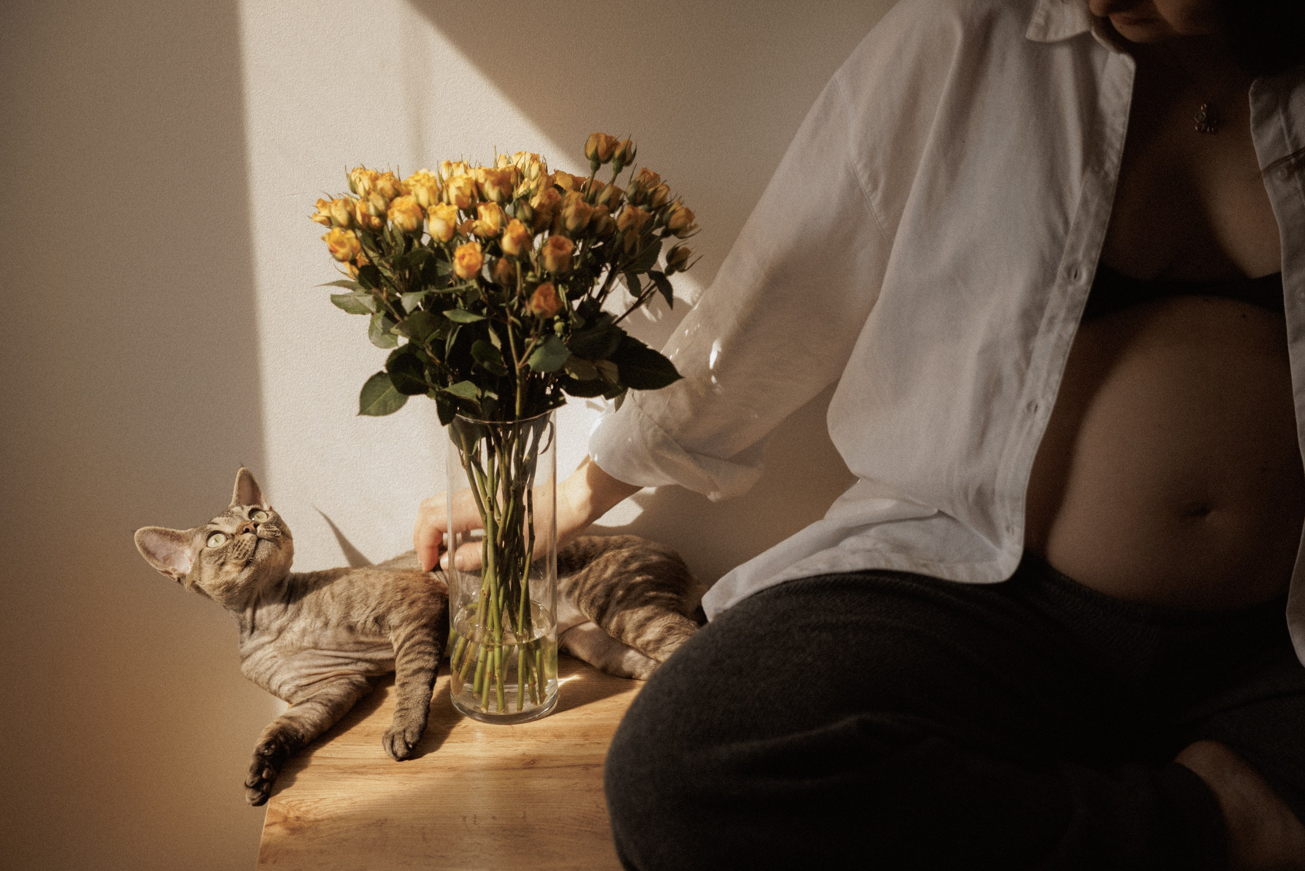 Maternity. Anna Gabitova — Family, Maternity, Lifestyle Photographer in Montreal