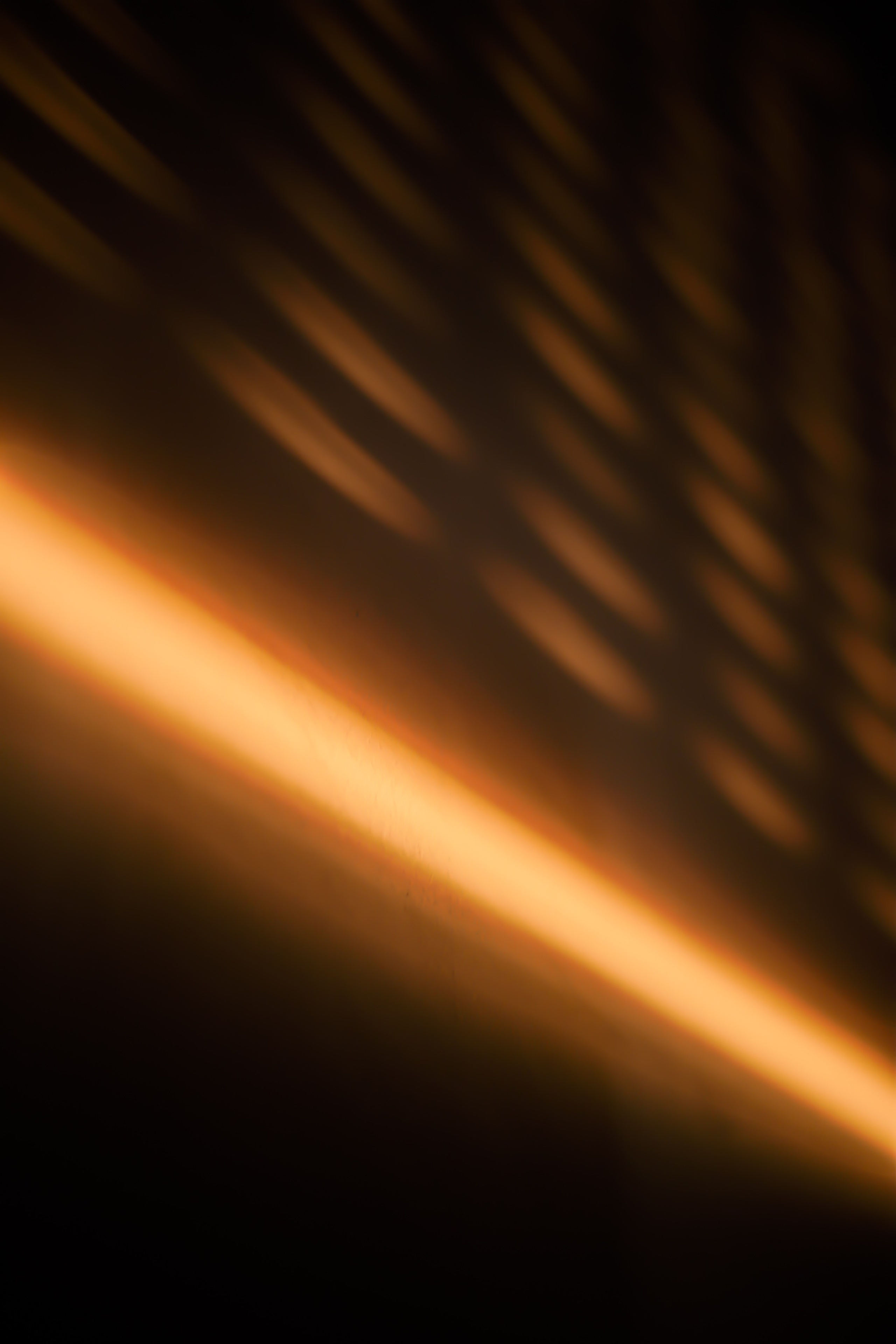 Sunset. Žukov Studio