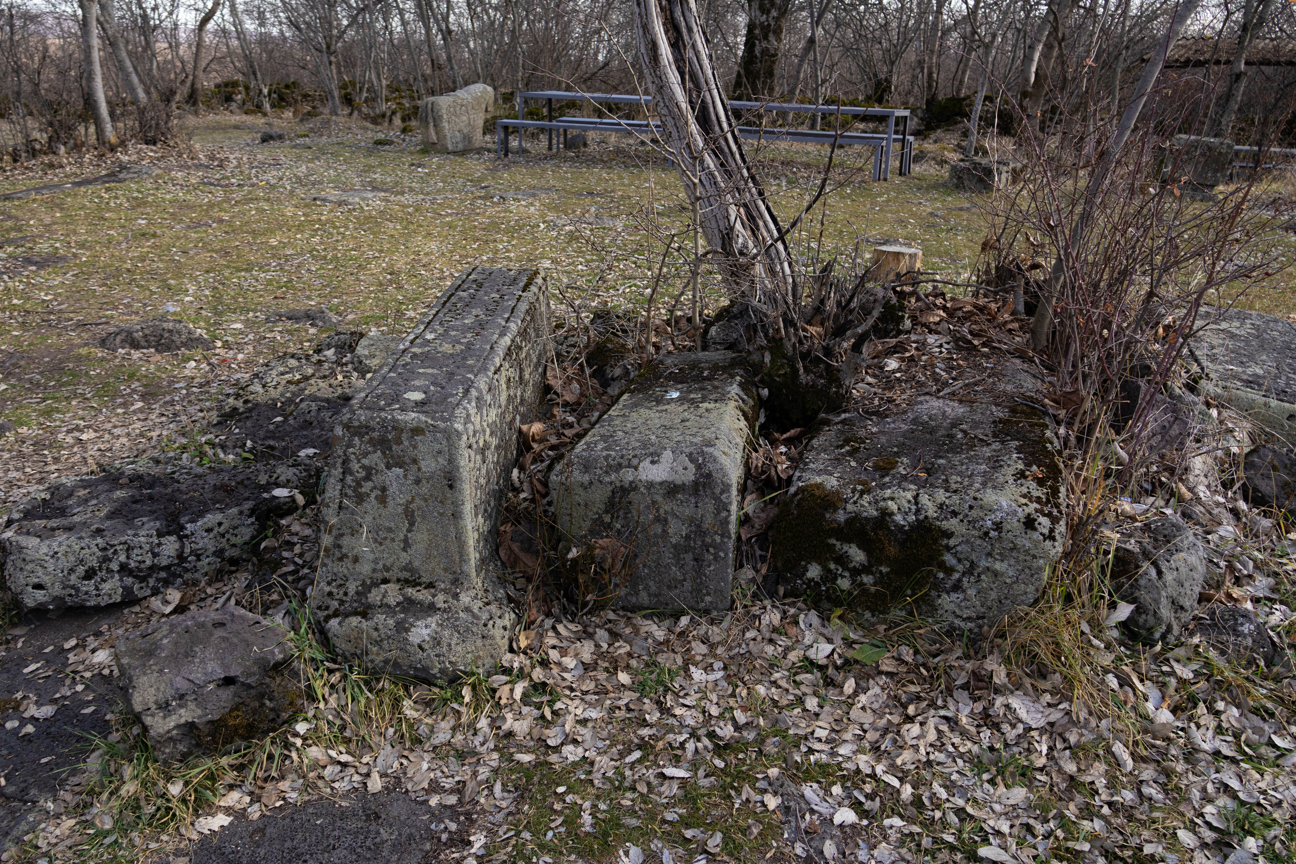 სამშვილდე. FramefreeMan