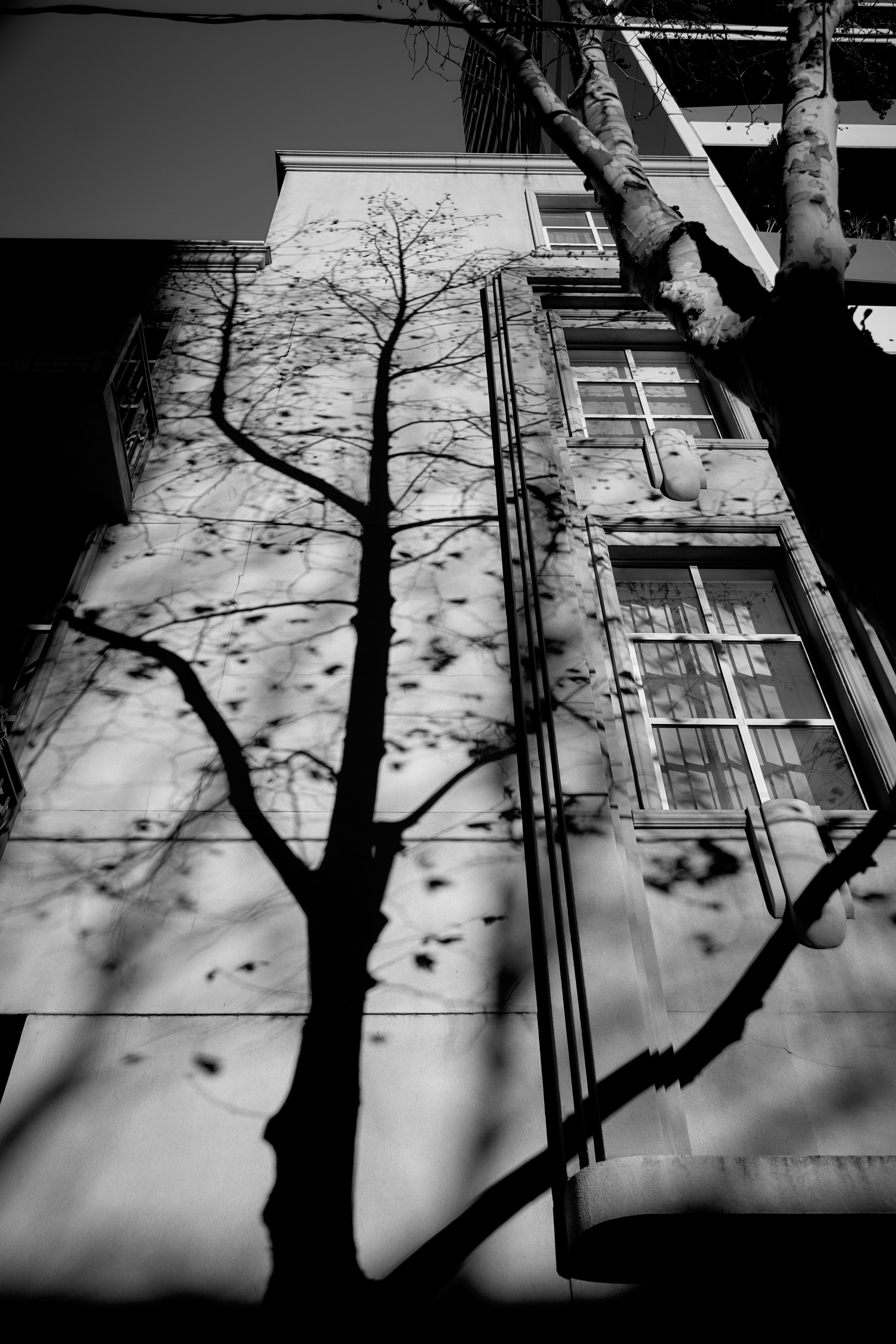 Melbourne Street Photography 2025. CARTER BNW