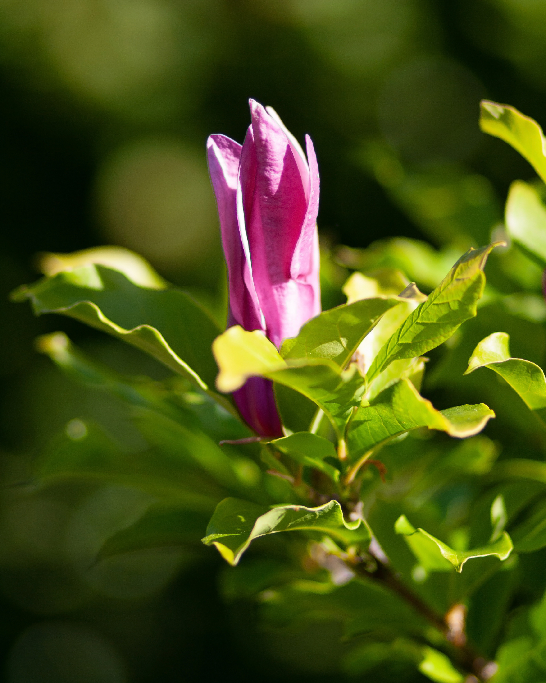 Feinheit. Guzel Kolobova| Fotografin| Salzburg