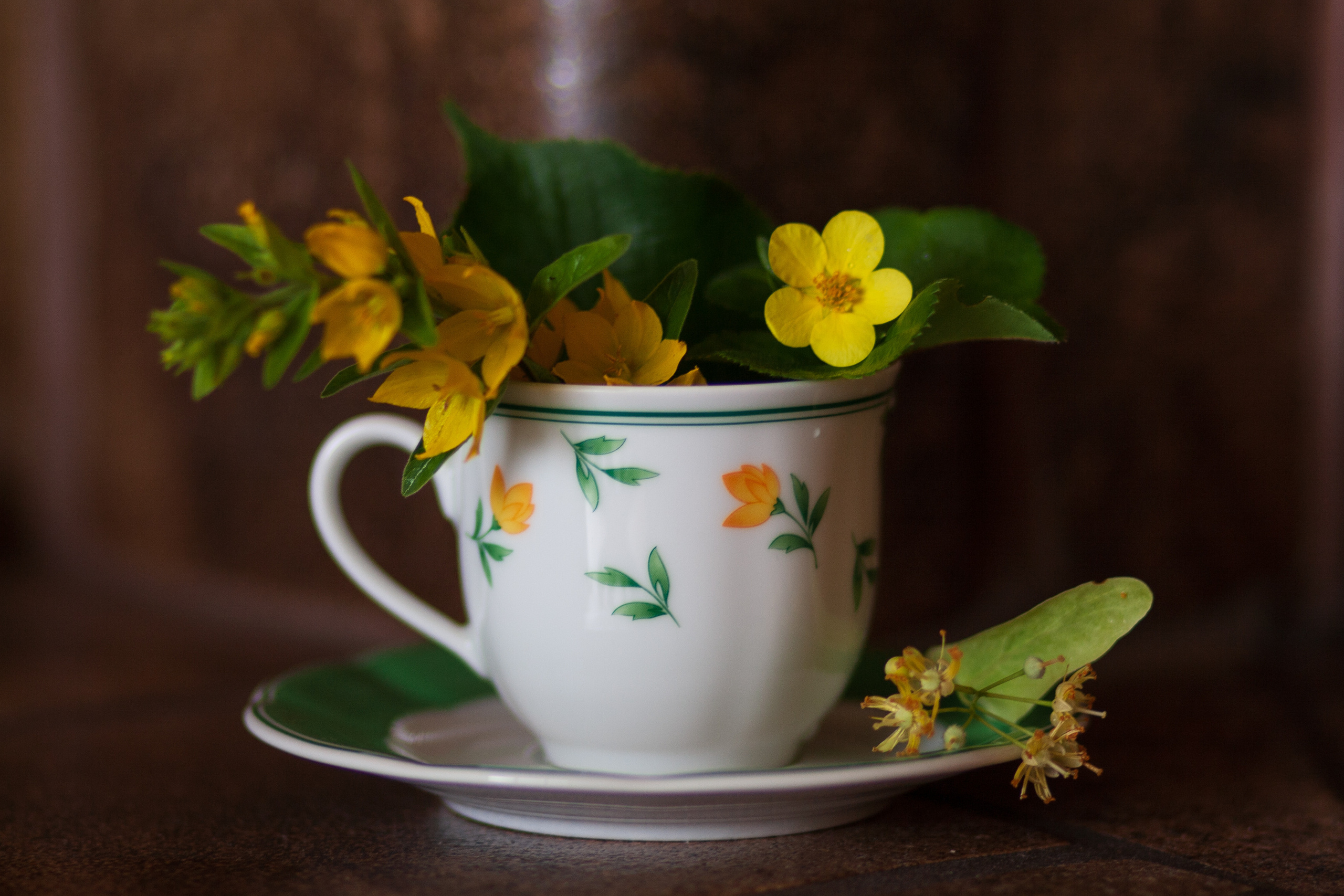 Feinheit. Guzel Kolobova| Fotografin| Salzburg