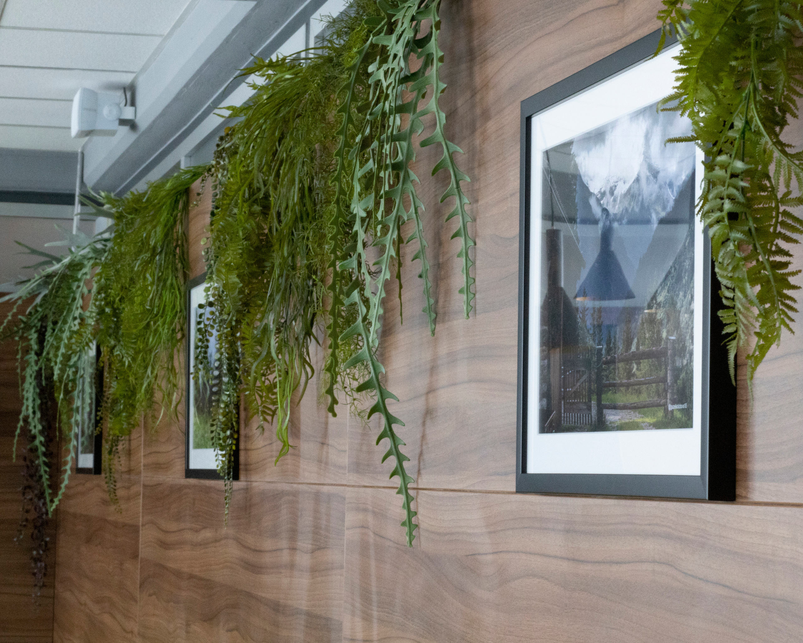 Guzel Kolobova| Fotografin| Salzburg