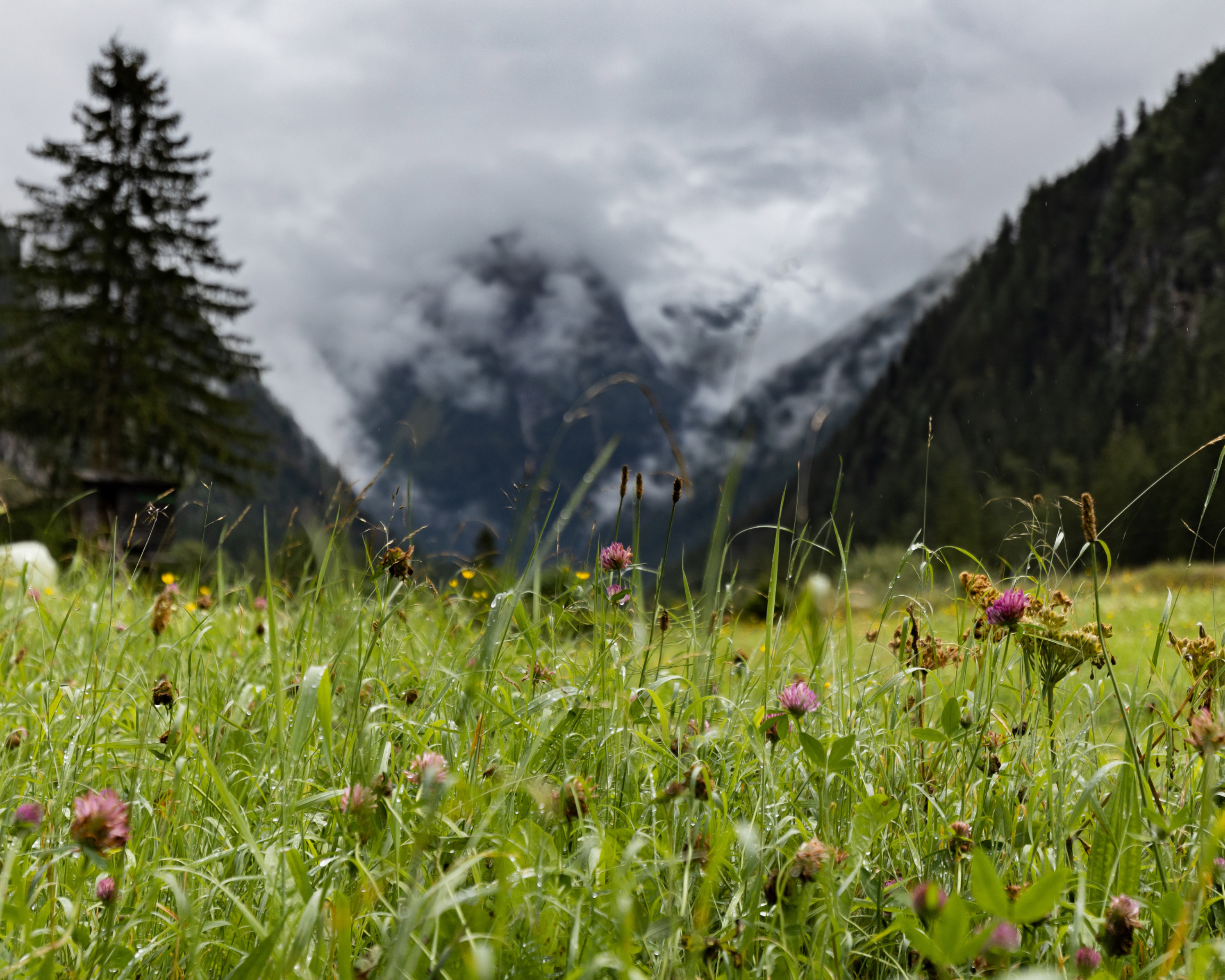 Bewunderung. Guzel Kolobova| Fotografin| Salzburg