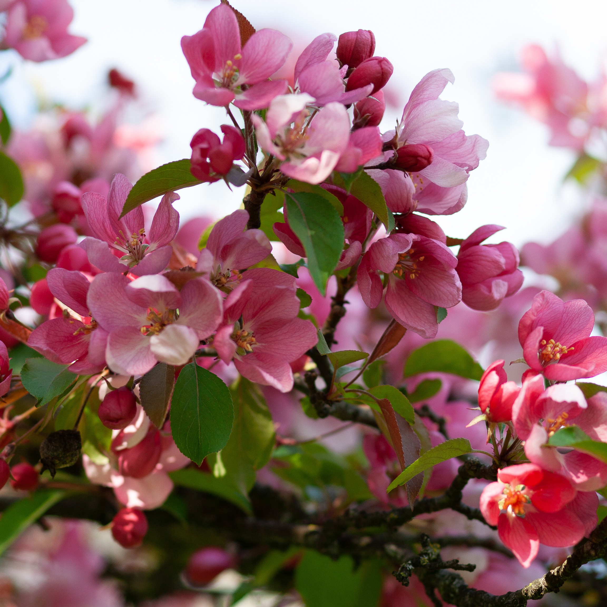 Feinheit. Guzel Kolobova| Fotografin| Salzburg