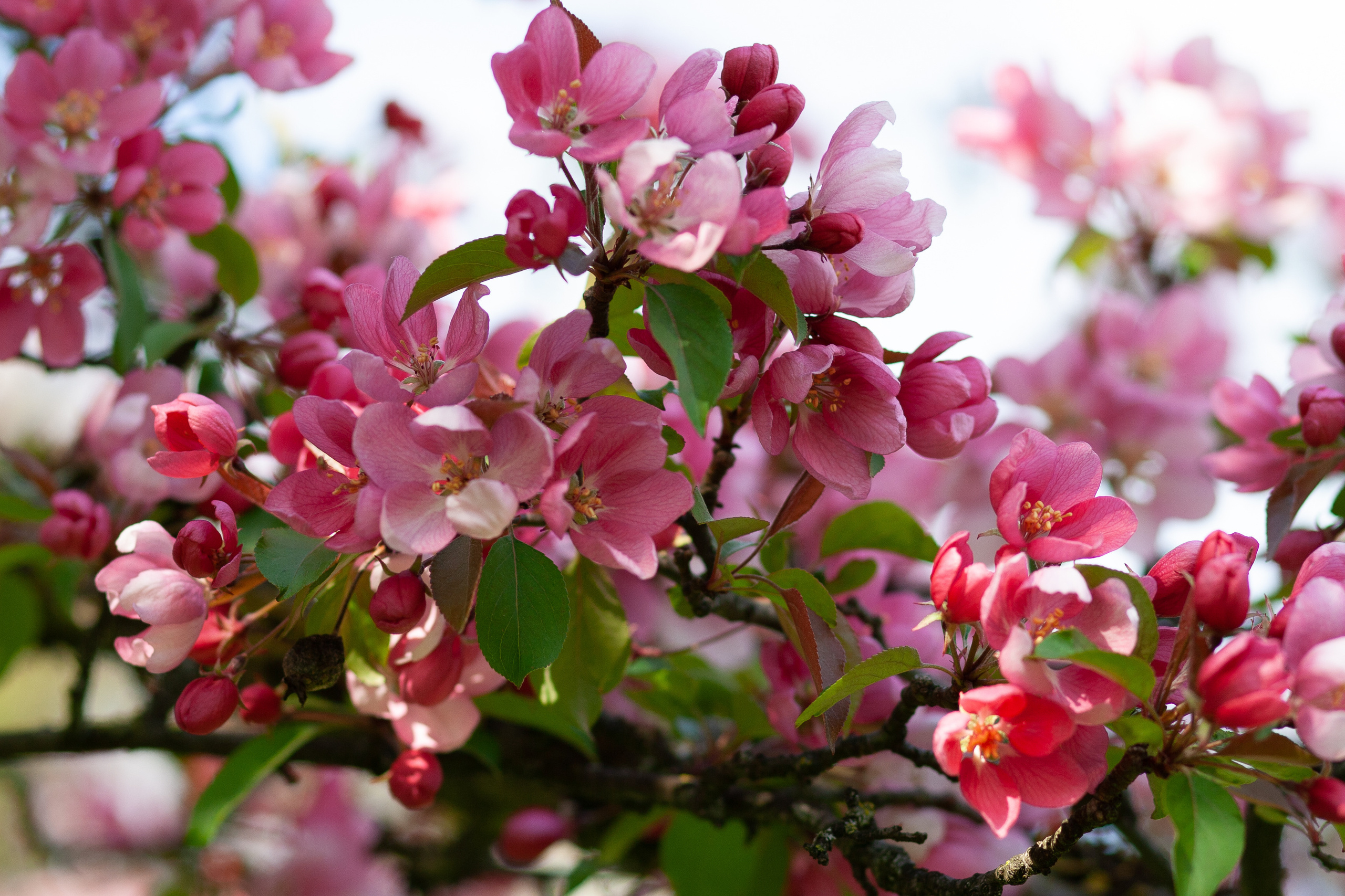 Feinheit. Guzel Kolobova| Fotografin| Salzburg