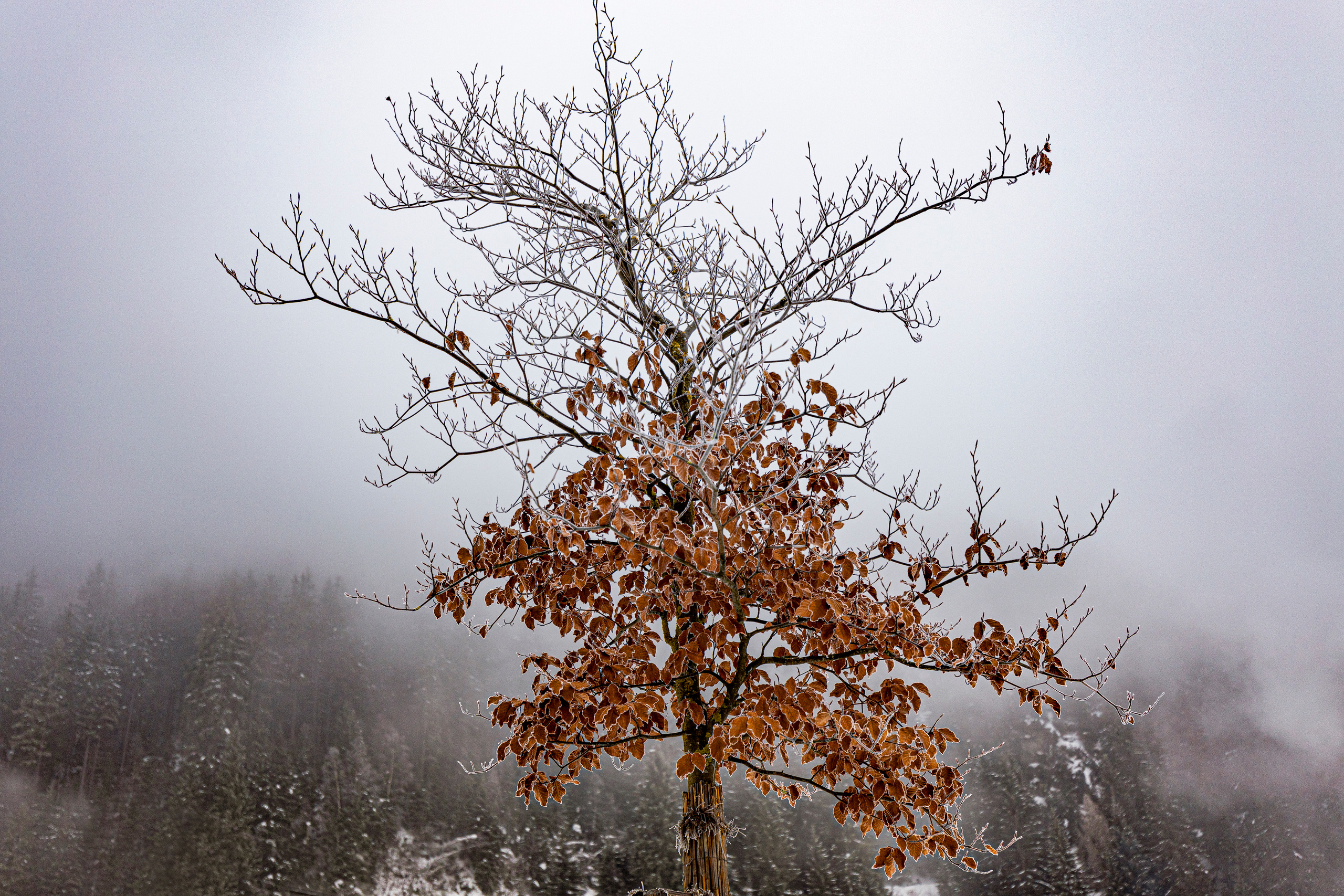 Bad Gastein, Österreich