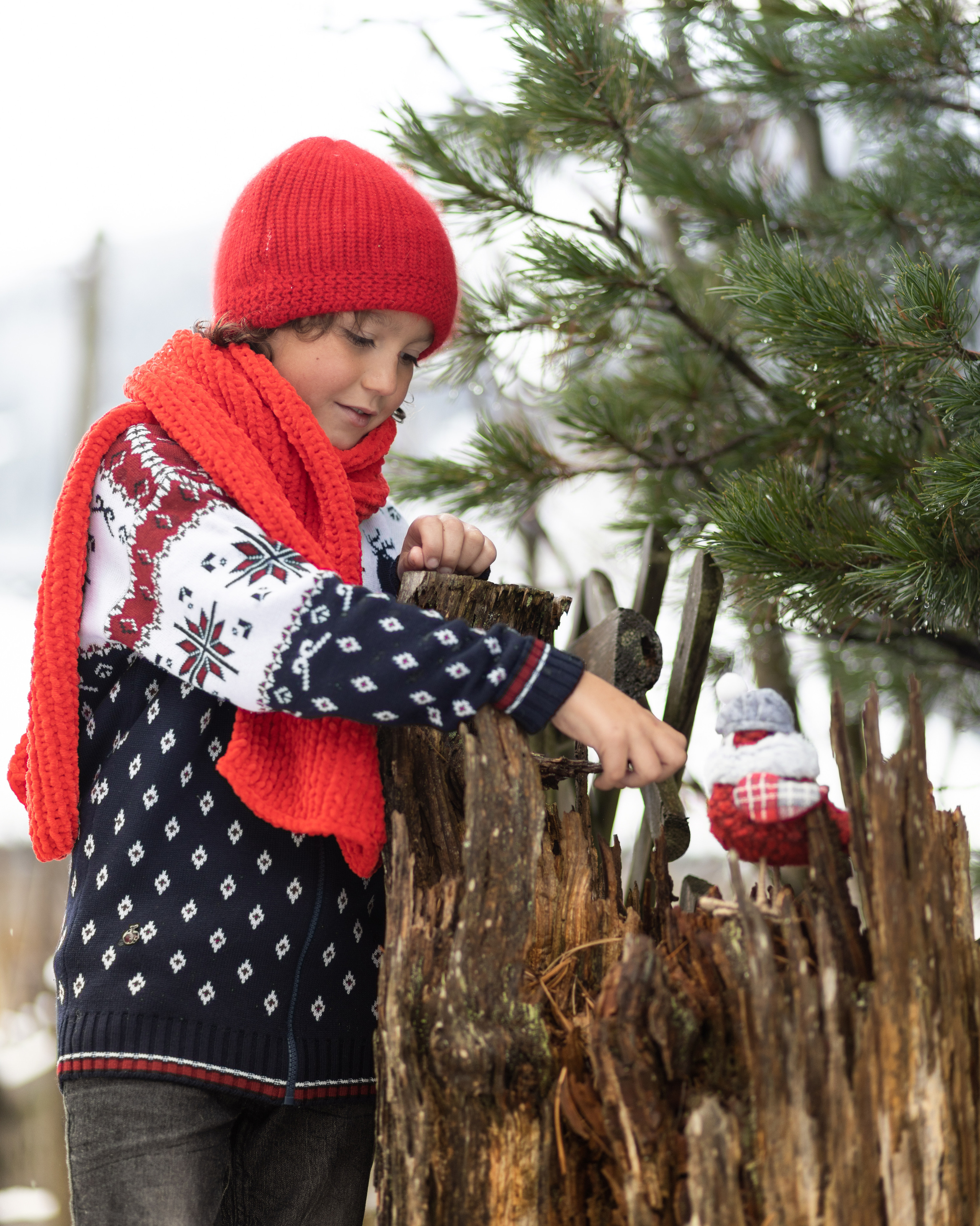 Kleinen. Guzel Kolobova| Fotografin| Salzburg