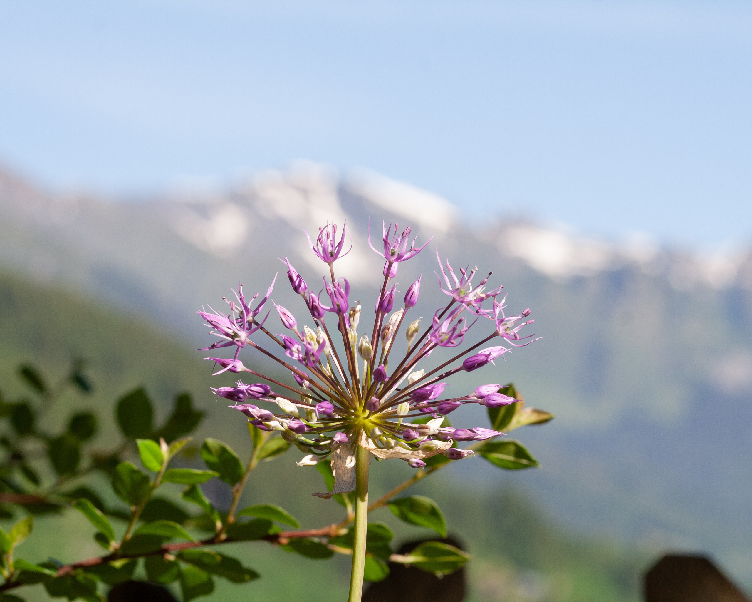 Feinheit. Guzel Kolobova| Fotografin| Salzburg