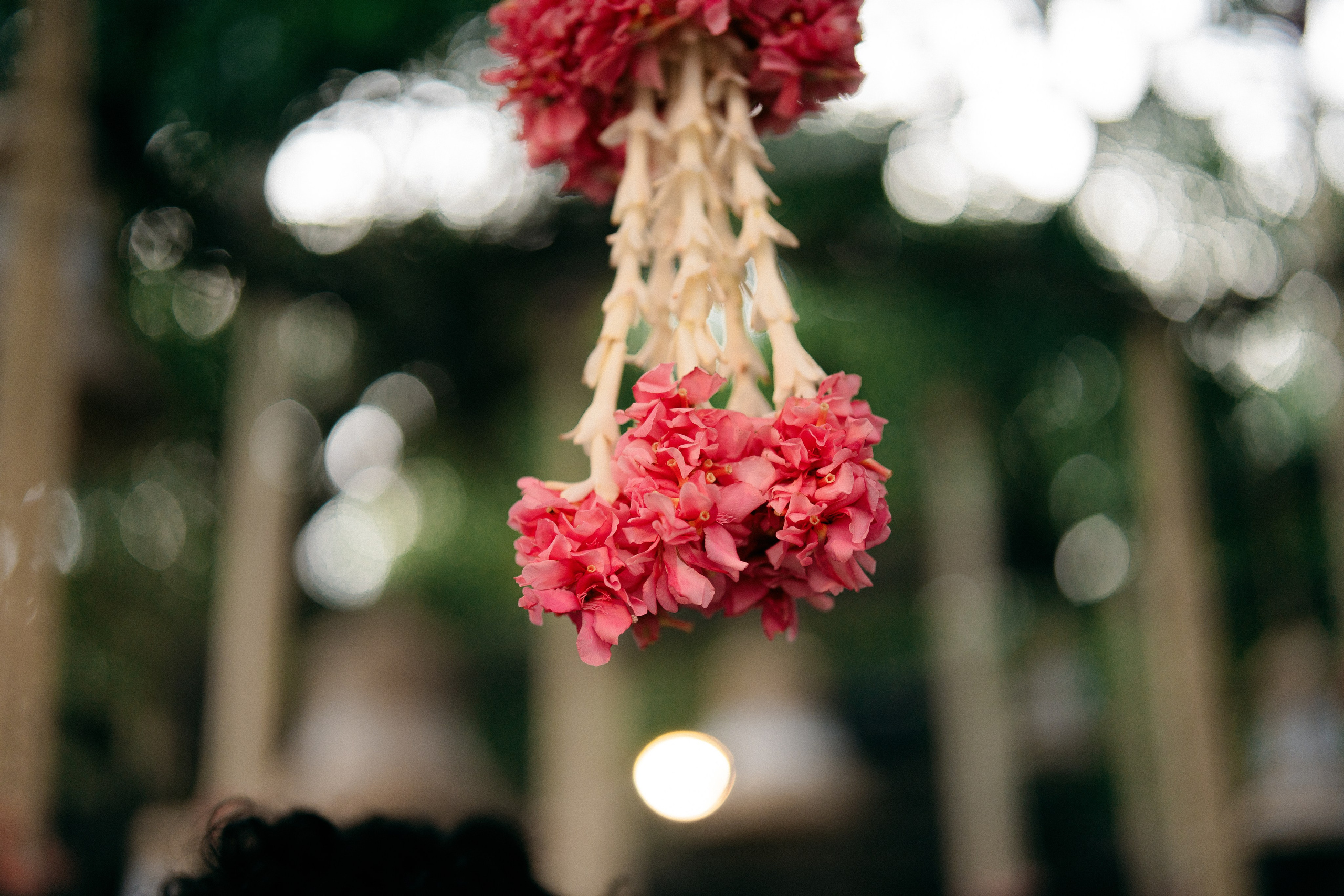 KIRTHI & JAWAHAR. Wedding photographer Avira Stories