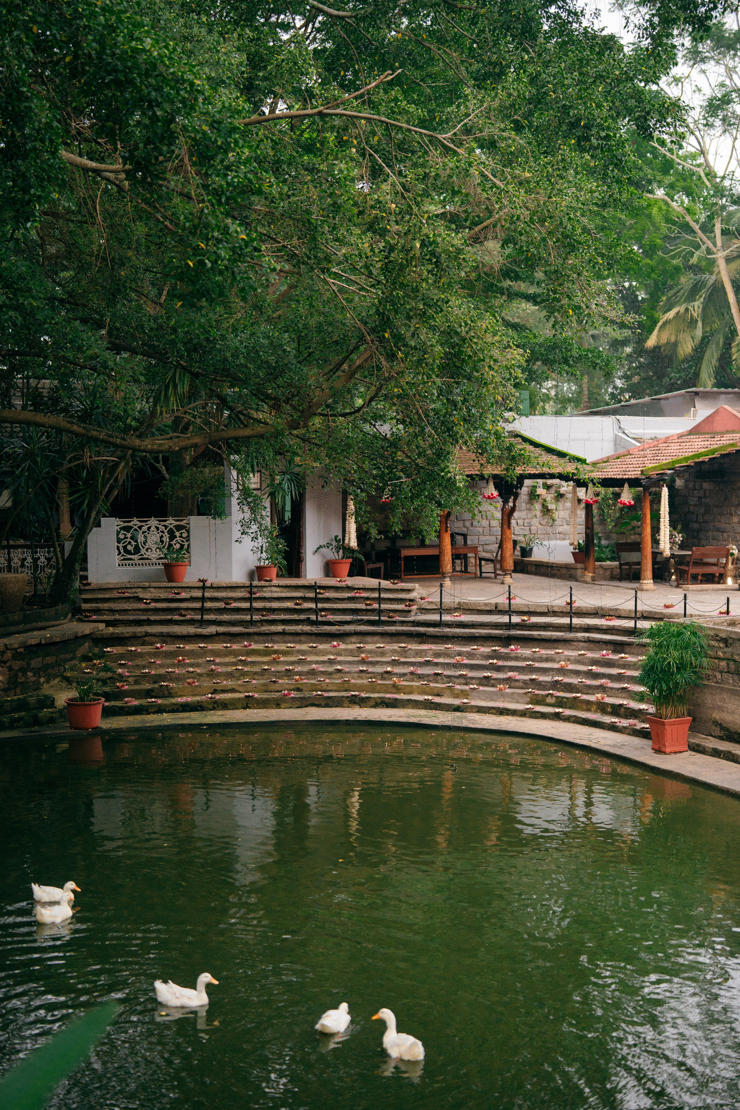 KIRTHI & JAWAHAR. Wedding photographer Avira Stories