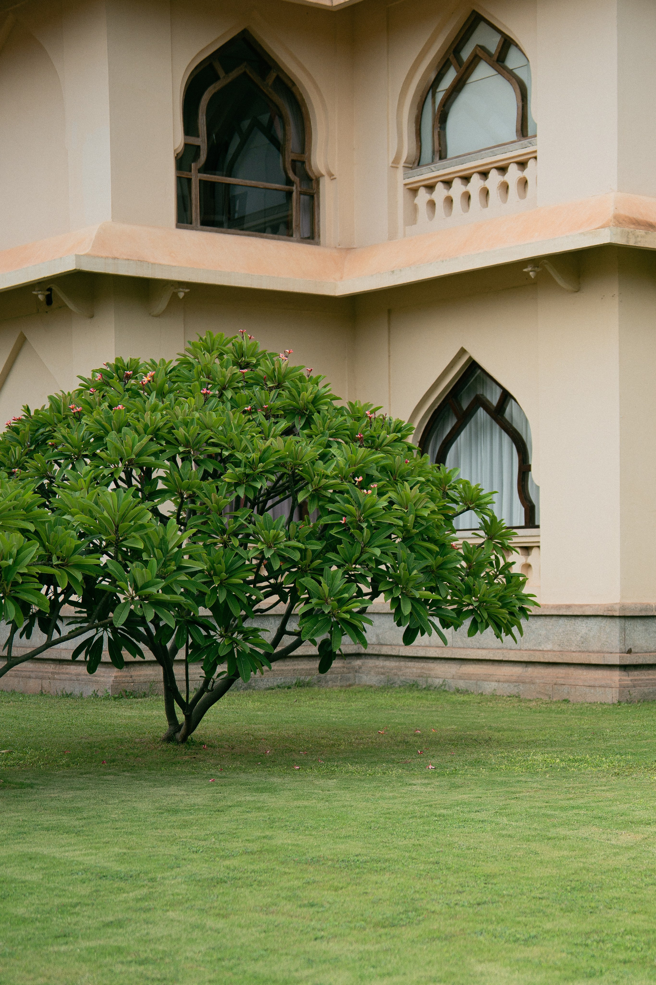 KIRTHI & JAWAHAR. Wedding photographer Avira Stories