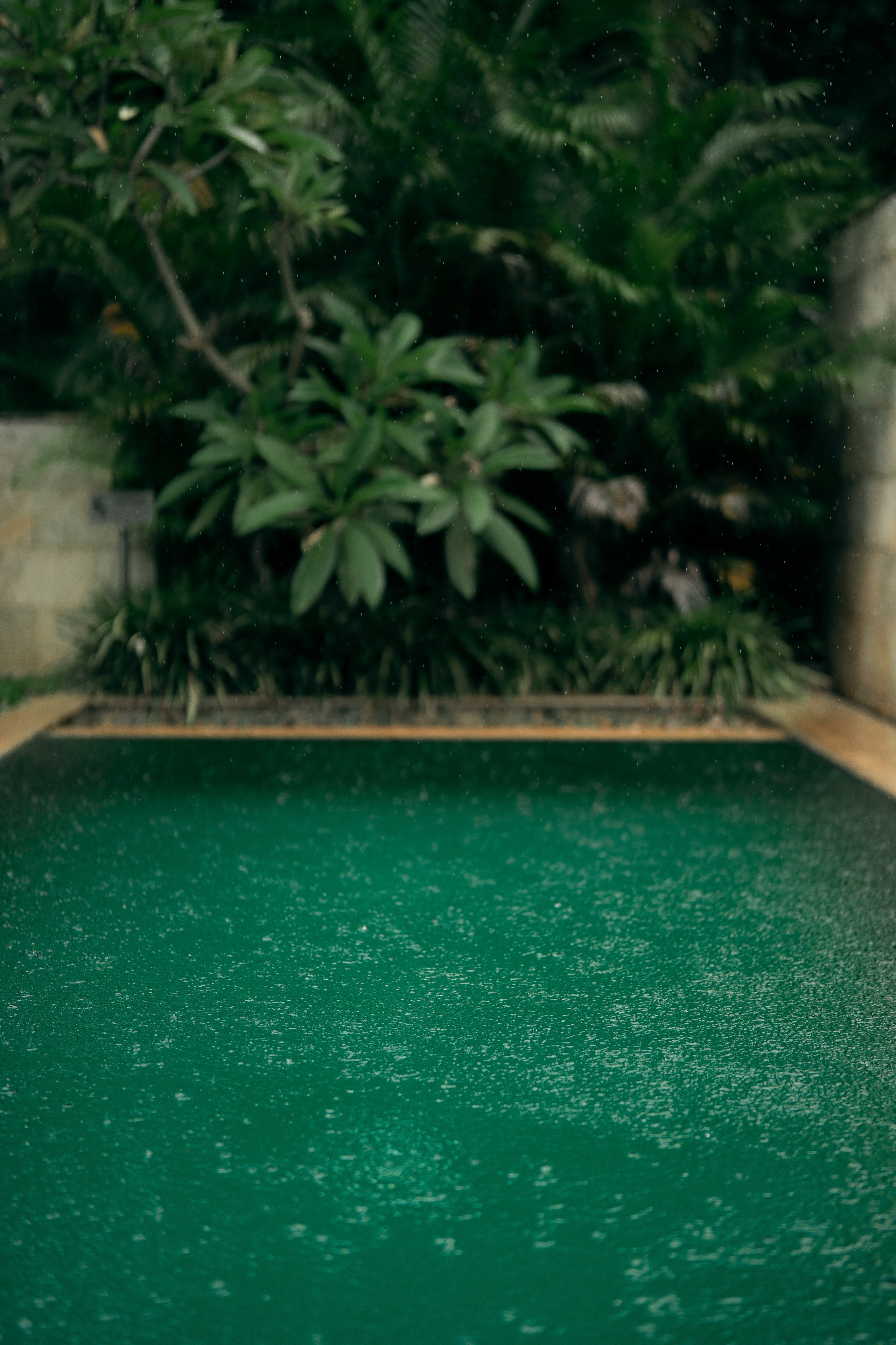 Samia + Fawaz. Wedding photographer Avira Stories