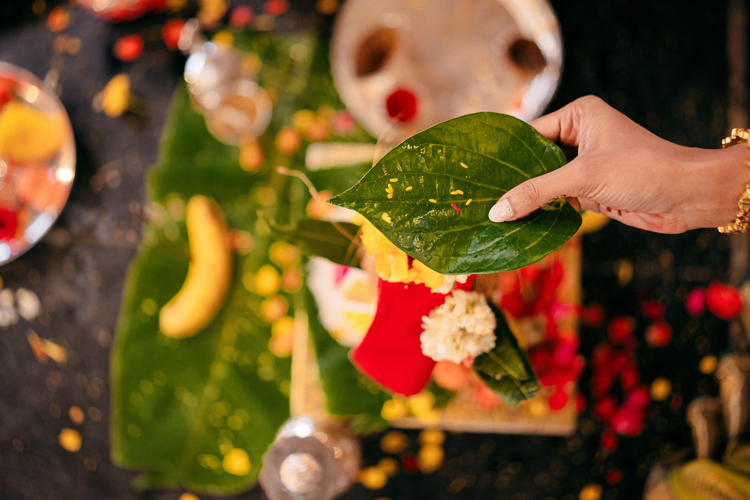 KIRTHI & JAWAHAR. Wedding photographer Avira Stories