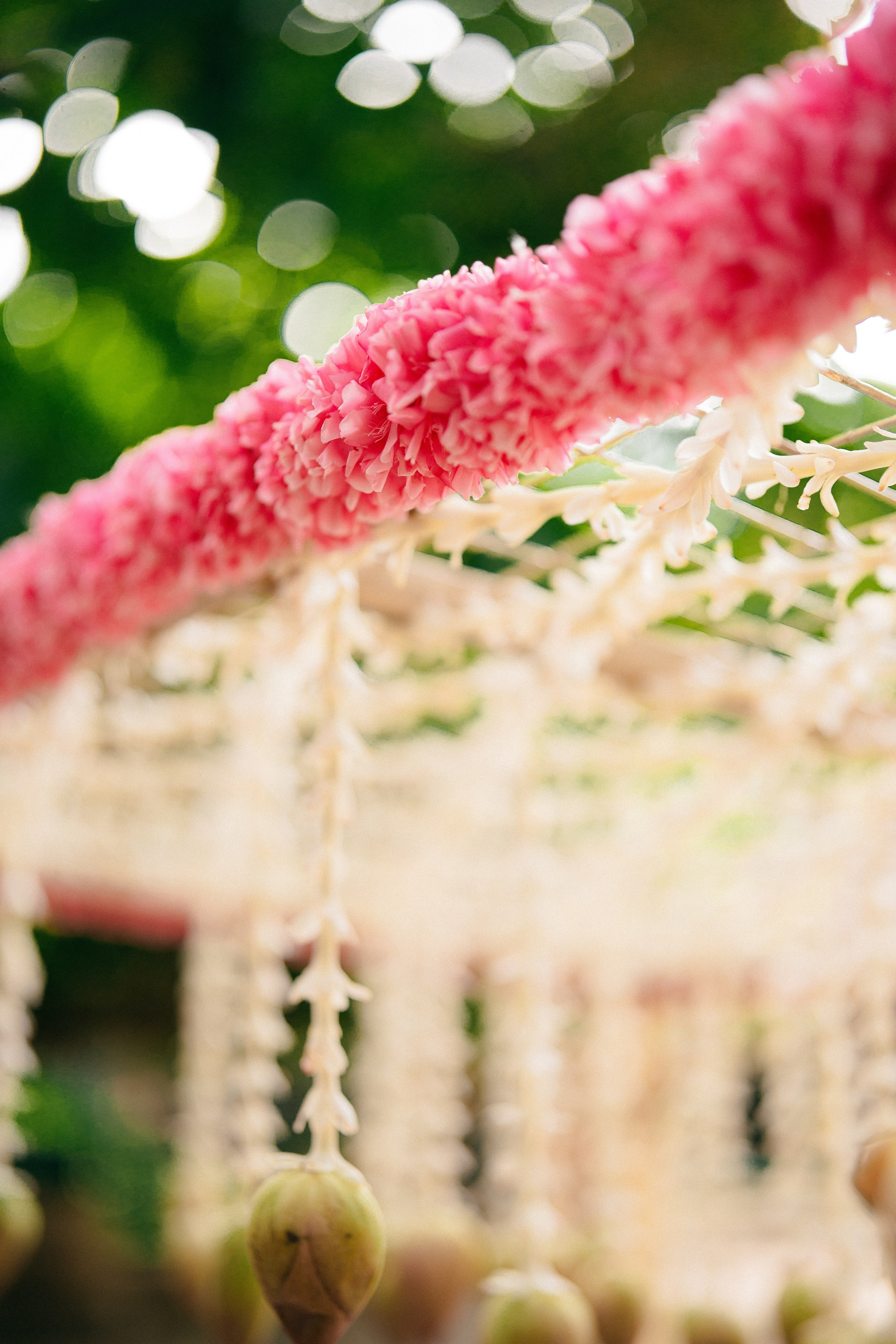 KIRTHI & JAWAHAR. Wedding photographer Avira Stories