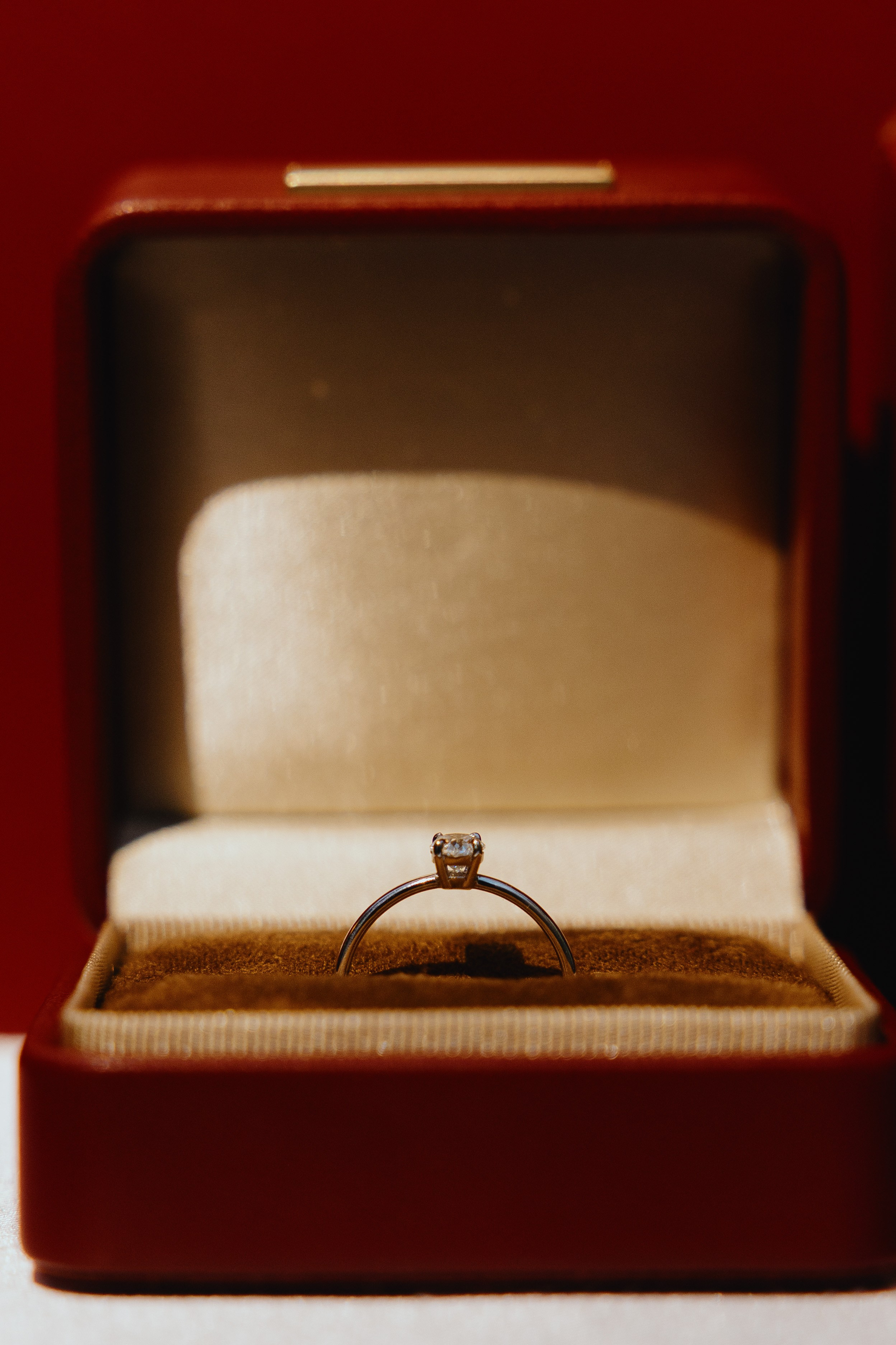 T&M. Профессиональный фотограф в Ташкенте