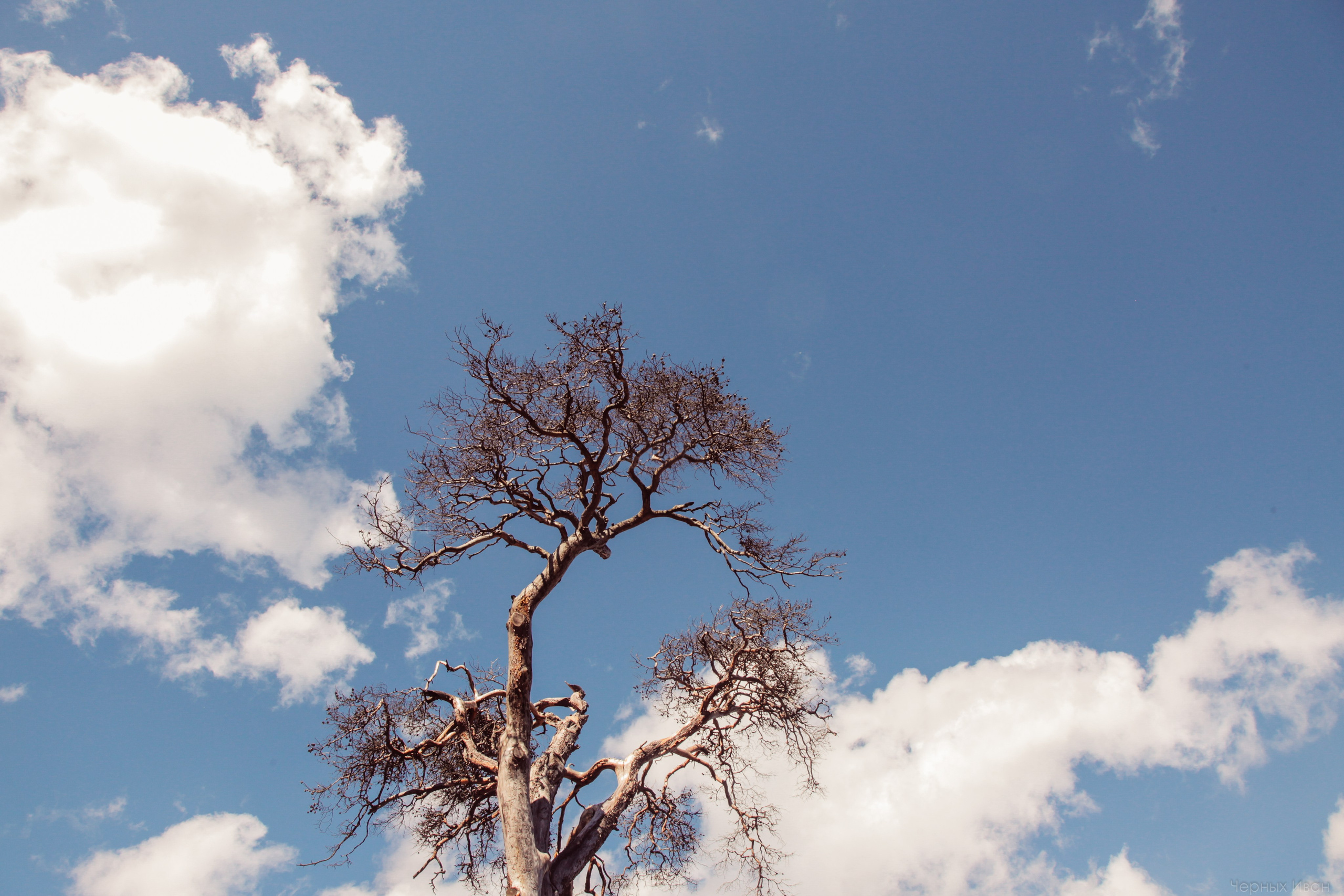 2016. Стрит-фотография, полная абсурда, идиотизма и красоты