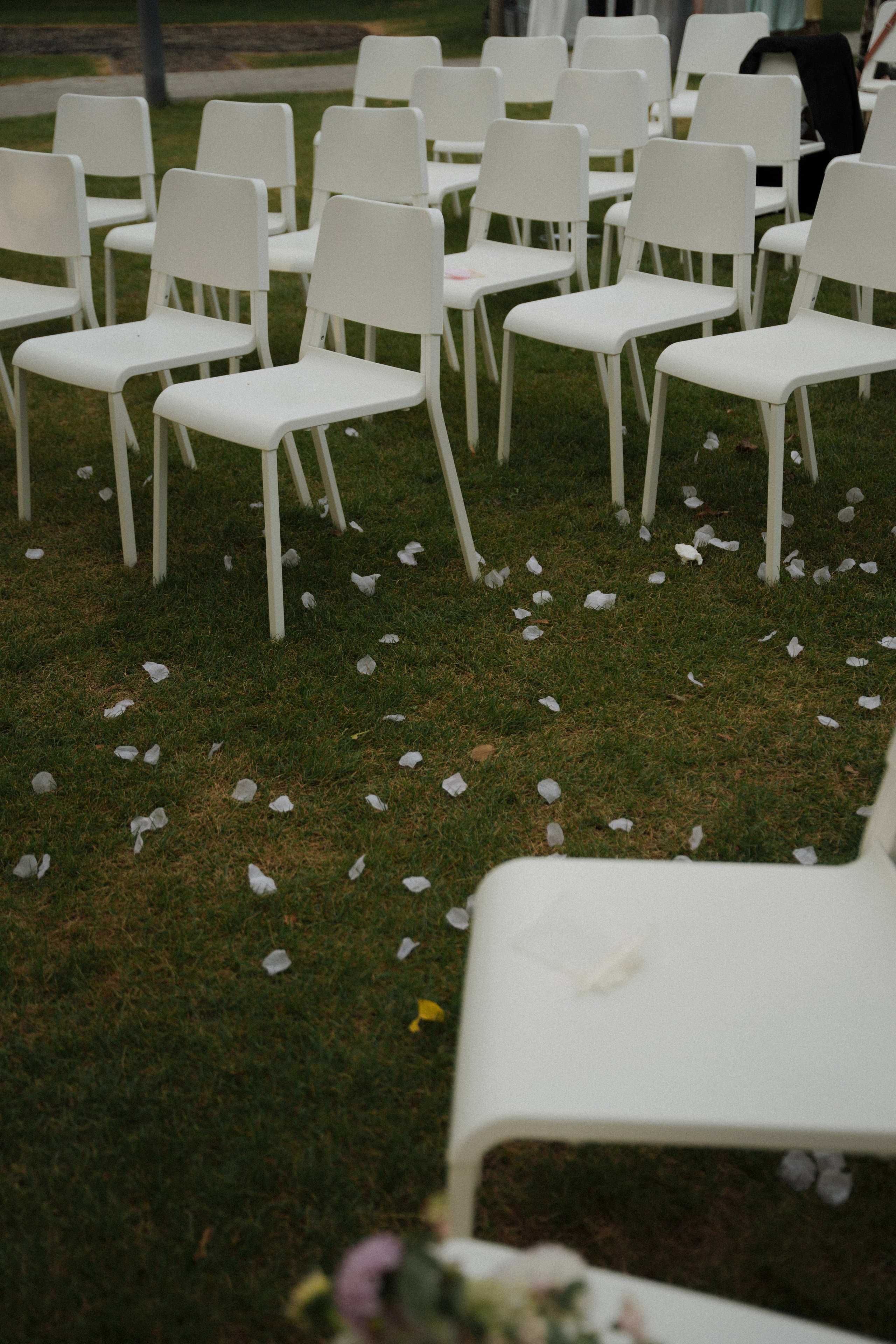 Vanda és dani album. Csilla visuals