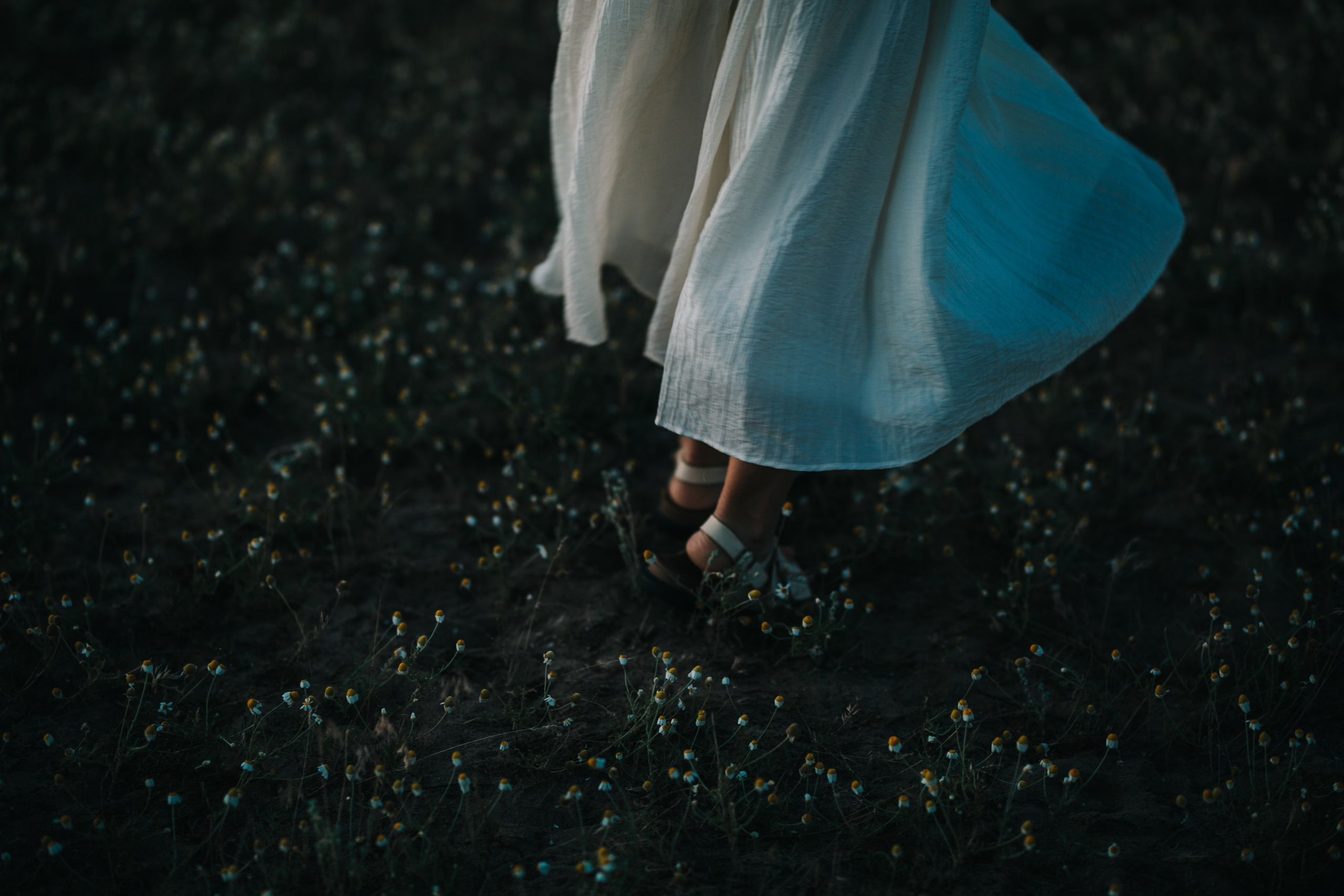 LOVE STORY. Mandarin.photo