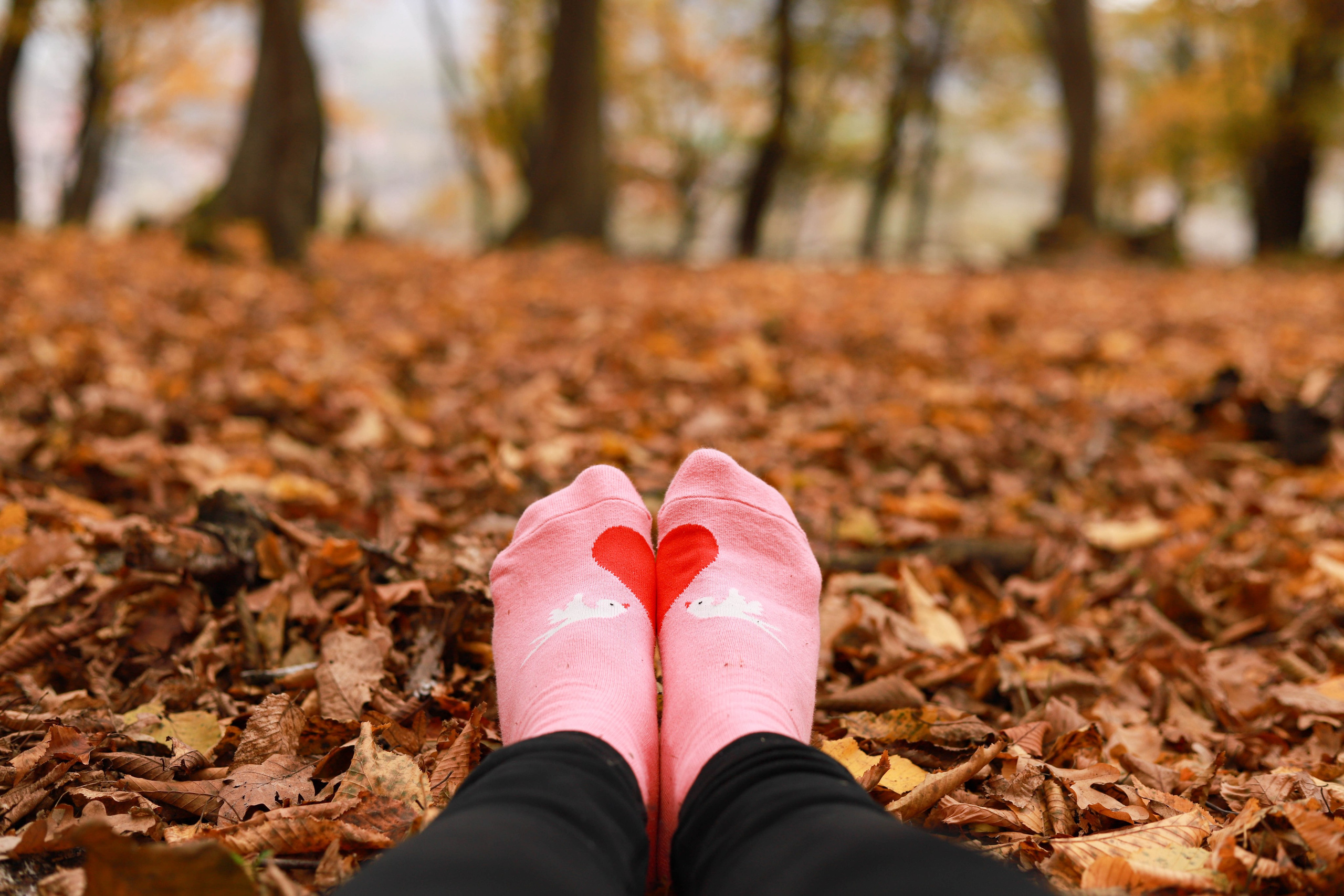 Vaida’s Forest. Family and Portraits photographer Diana Andoni