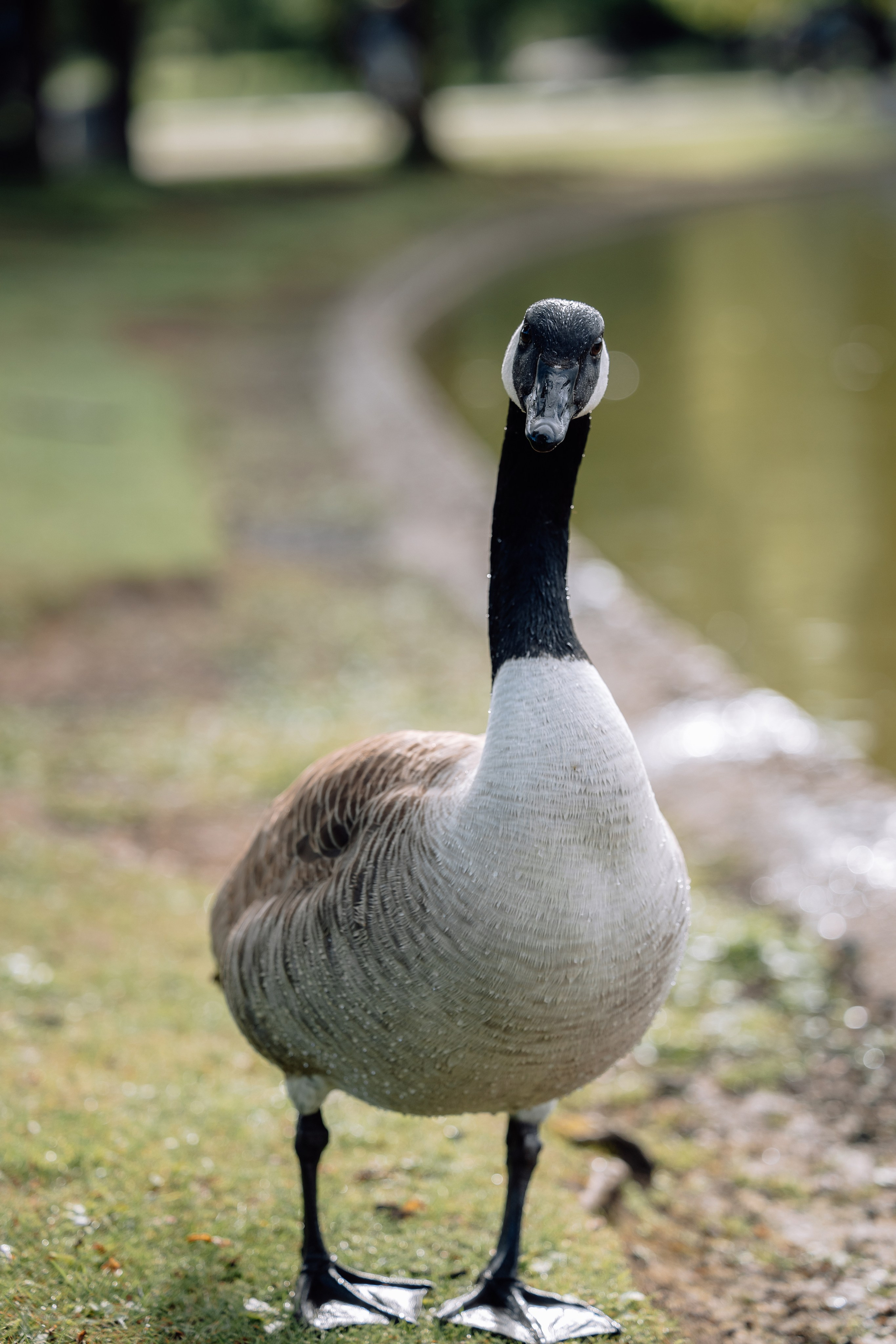 West Park. Hochzeitsfotograf München Taufe Familienfotograf Tanja Mauke