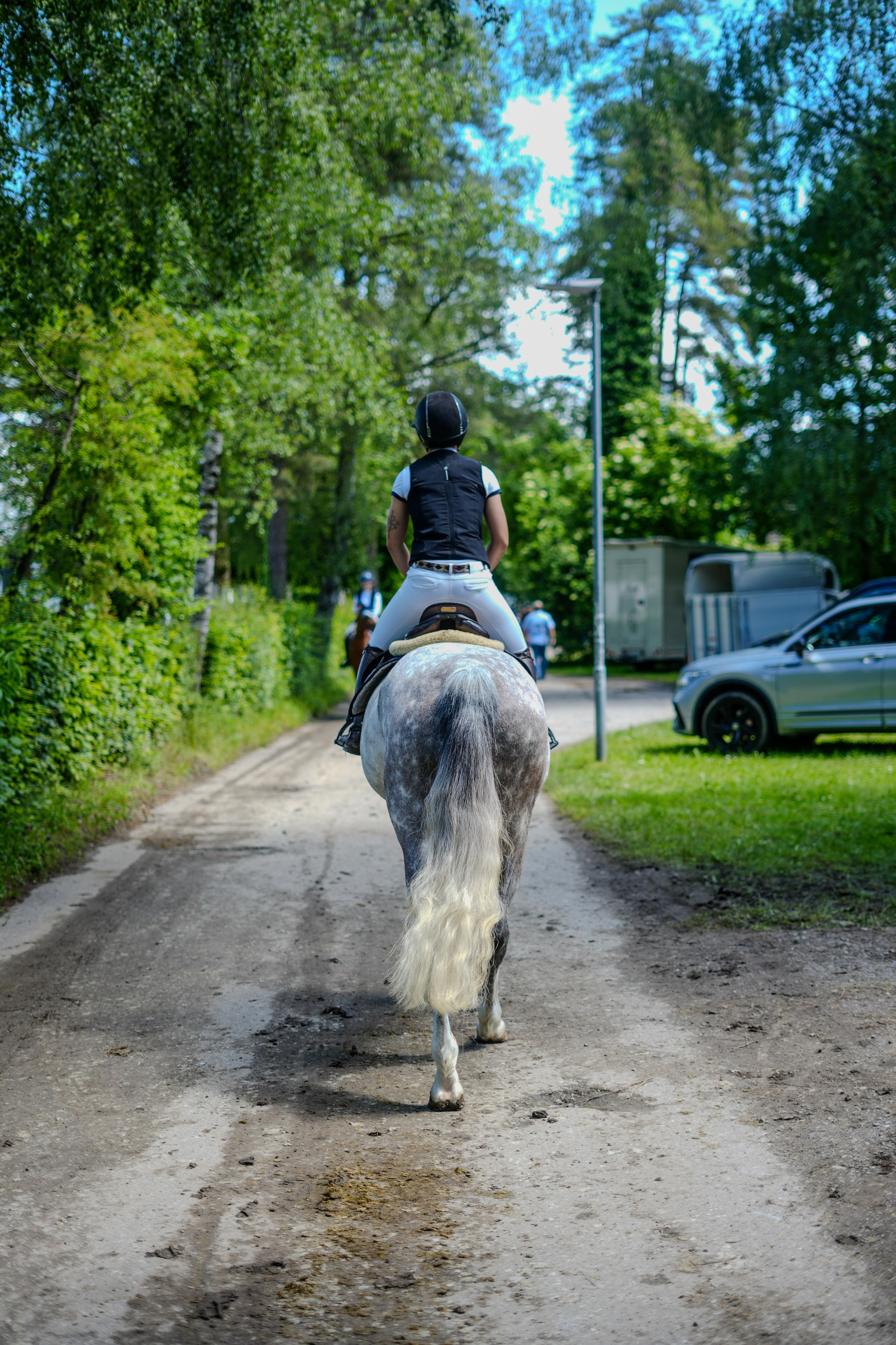 Equestrian Competition