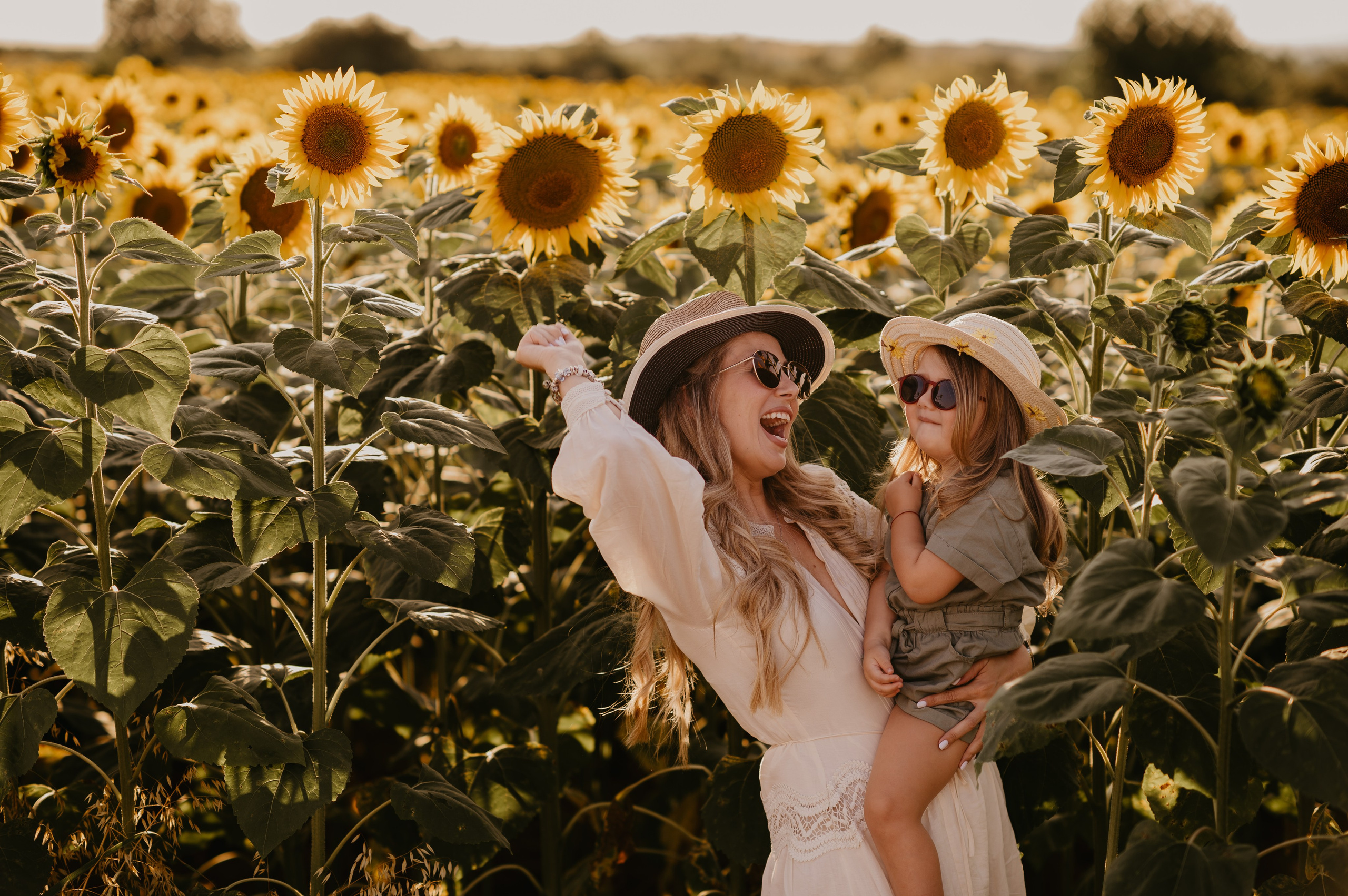 Polje suncokreta. Ana Sladojevic