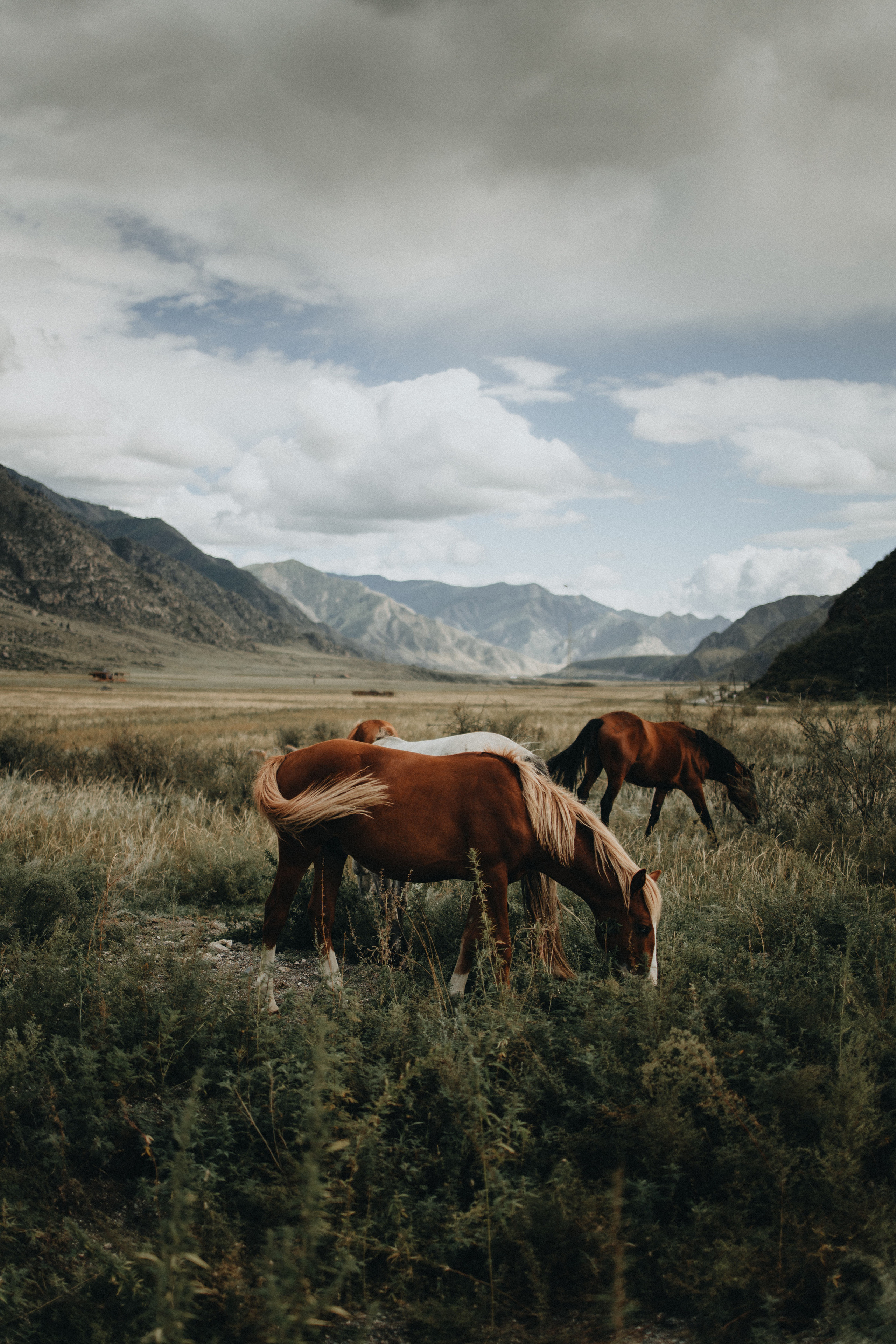 Portland, Seattle, Bend & Oregon Coast Elopement Photography | Alex & Michael's Mountain Wedding by Georgy Shishkin. Capturing Love in the Heart of the Pacific Northwes