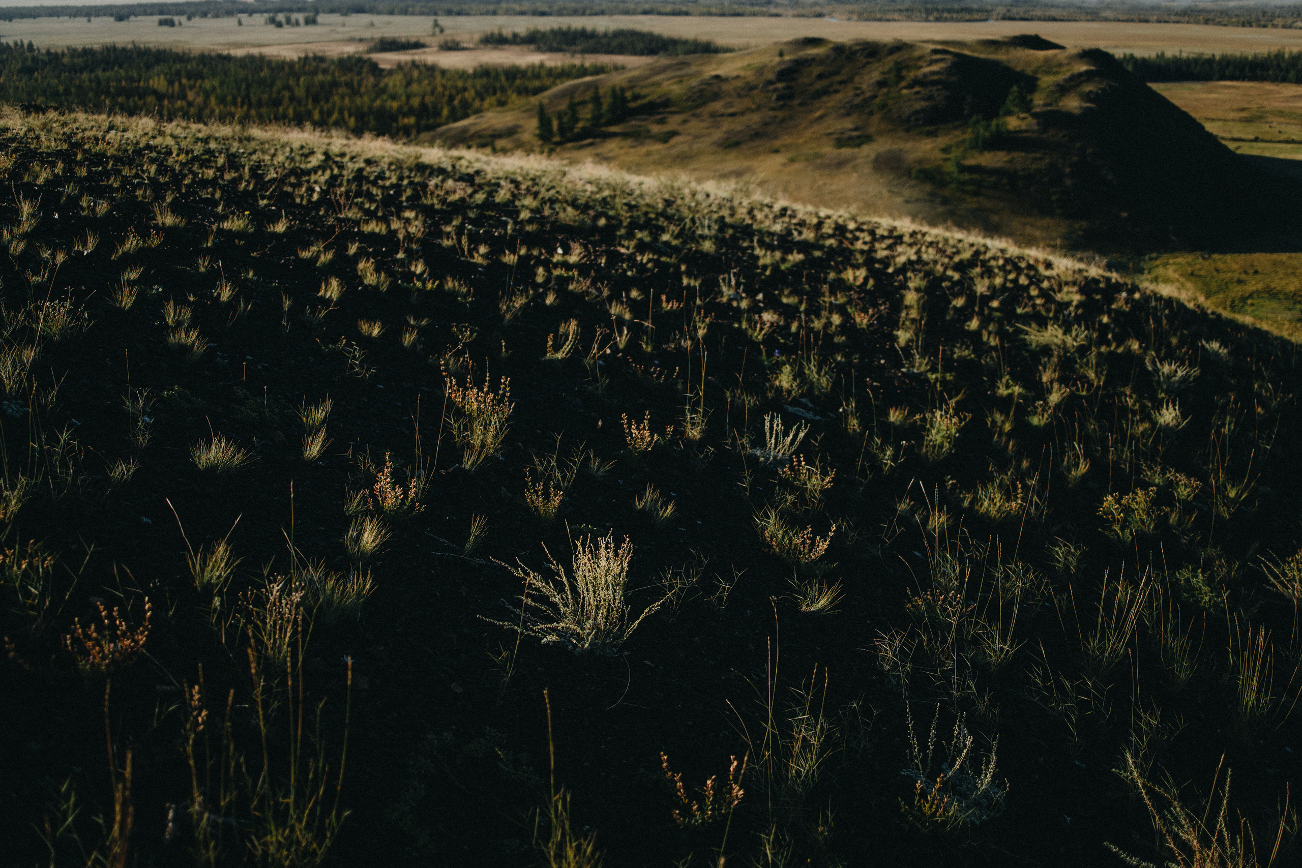 Portland, Seattle, Bend & Oregon Coast Elopement Photography | Alex & Michael's Mountain Wedding by Georgy Shishkin. Capturing Love in the Heart of the Pacific Northwes