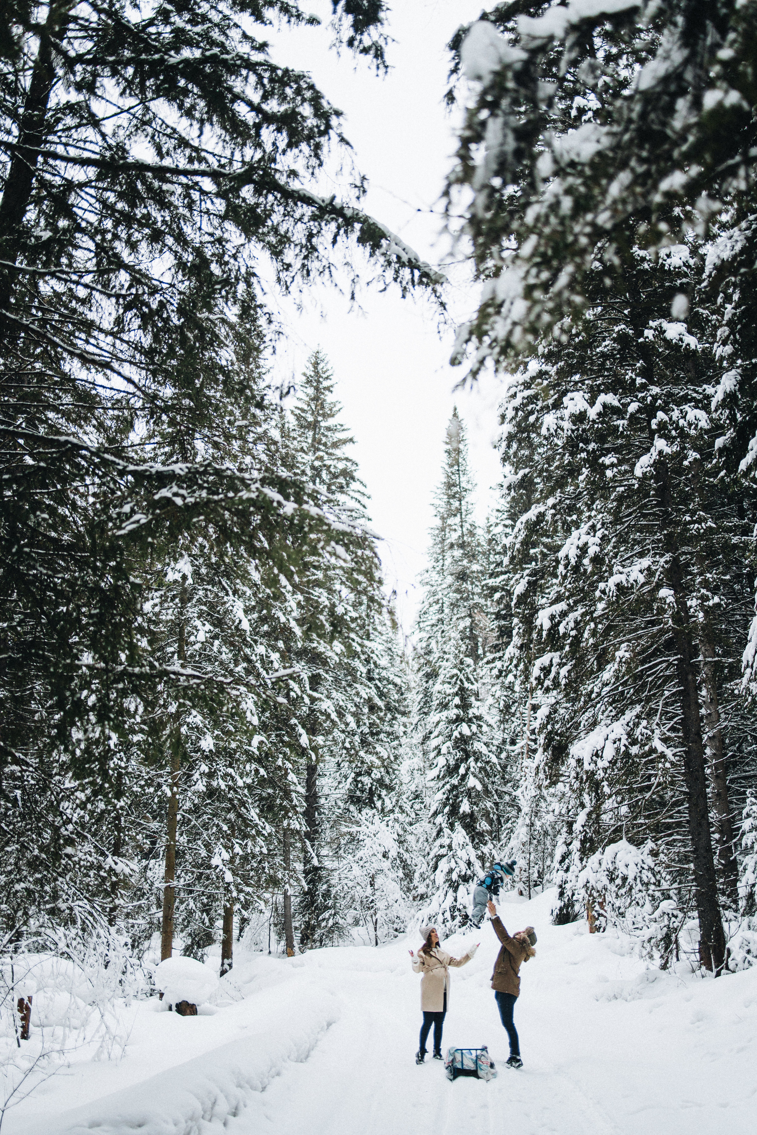 Capture the Warmth of Winter with Family Photography in Portland, Seattle, Bend & Oregon Coast | Georgy Shishkin. Capturing Love in the Heart of the Pacific Northwes