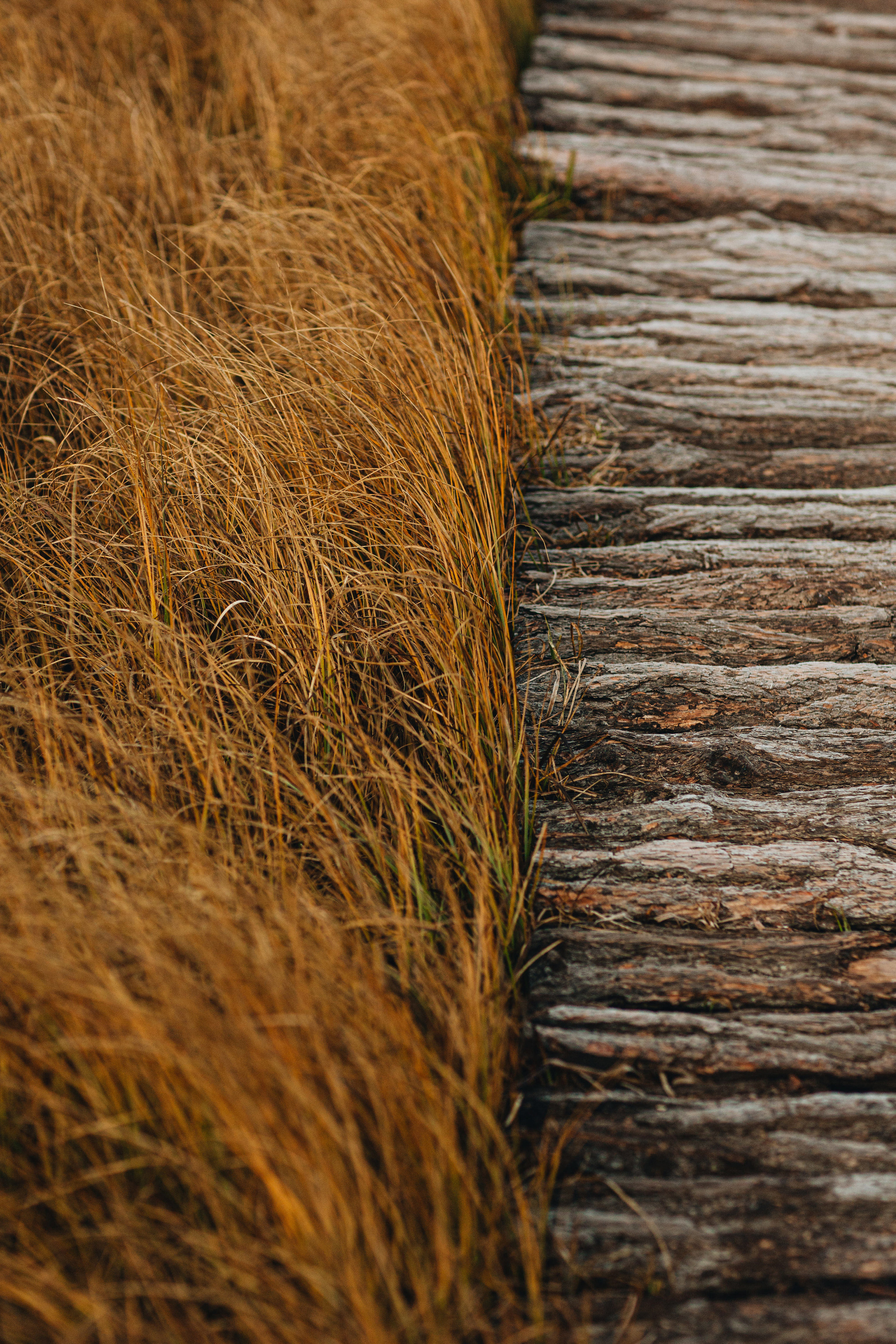 Portland, Seattle, Bend & Oregon Coast Elopement & Wedding Photography | J & J Mountain Adventure by Georgy Shishkin. Capturing Love in the Heart of the Pacific Northwes