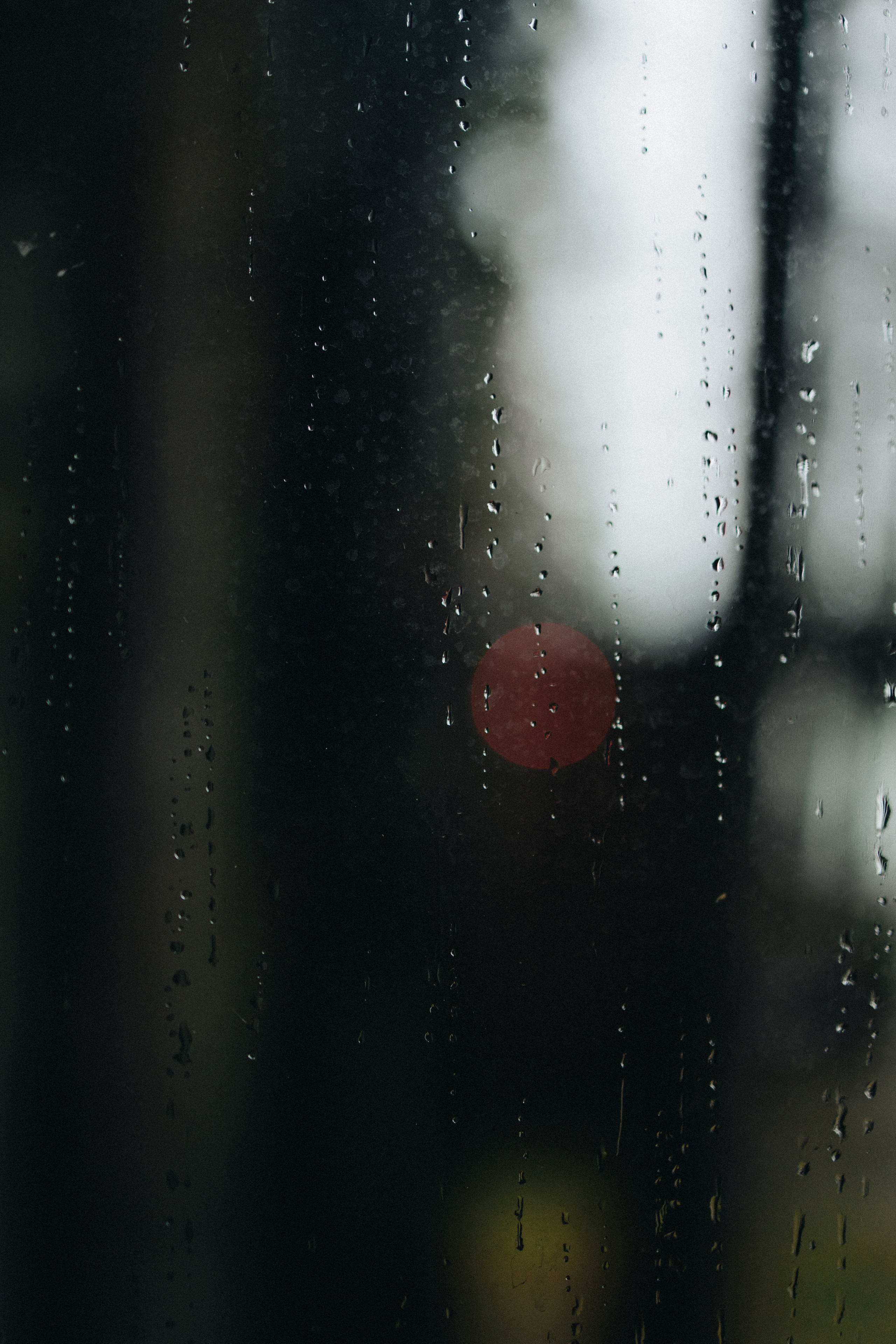 Portland, Seattle, Bend & Oregon Coast Elopement Photography | Alex & Michael's Mountain Wedding by Georgy Shishkin. Capturing Love in the Heart of the Pacific Northwes