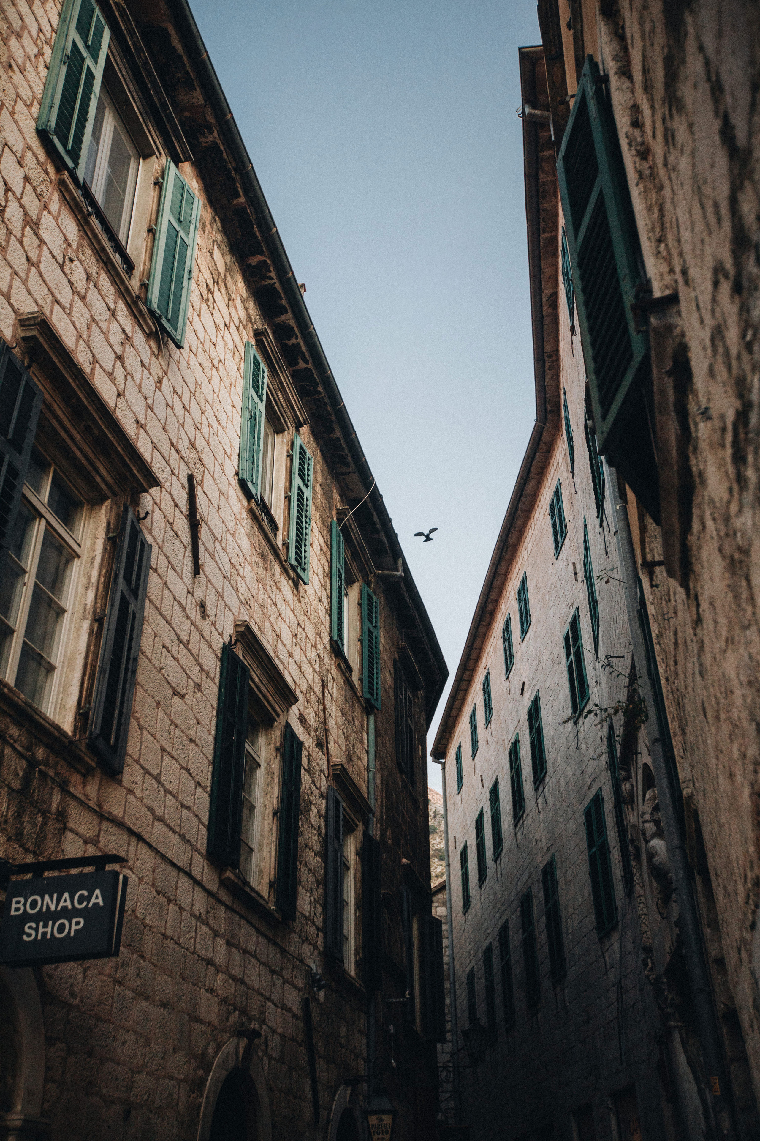 Portland, Seattle, Bend & Oregon Coast Wedding Photography | Destination Weddings in Montenegro by Georgy Shishkin. Capturing Love in the Heart of the Pacific Northwes