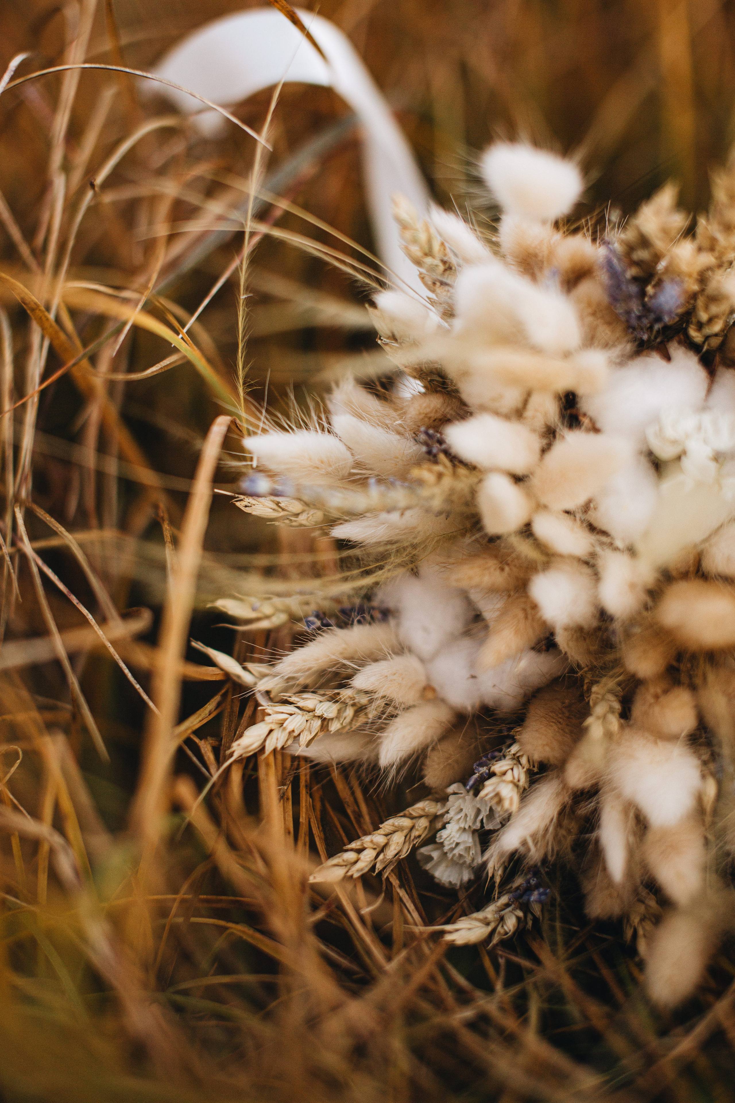 Portland, Seattle, Bend & Oregon Coast Elopement & Wedding Photography | J & J Mountain Adventure by Georgy Shishkin. Capturing Love in the Heart of the Pacific Northwes