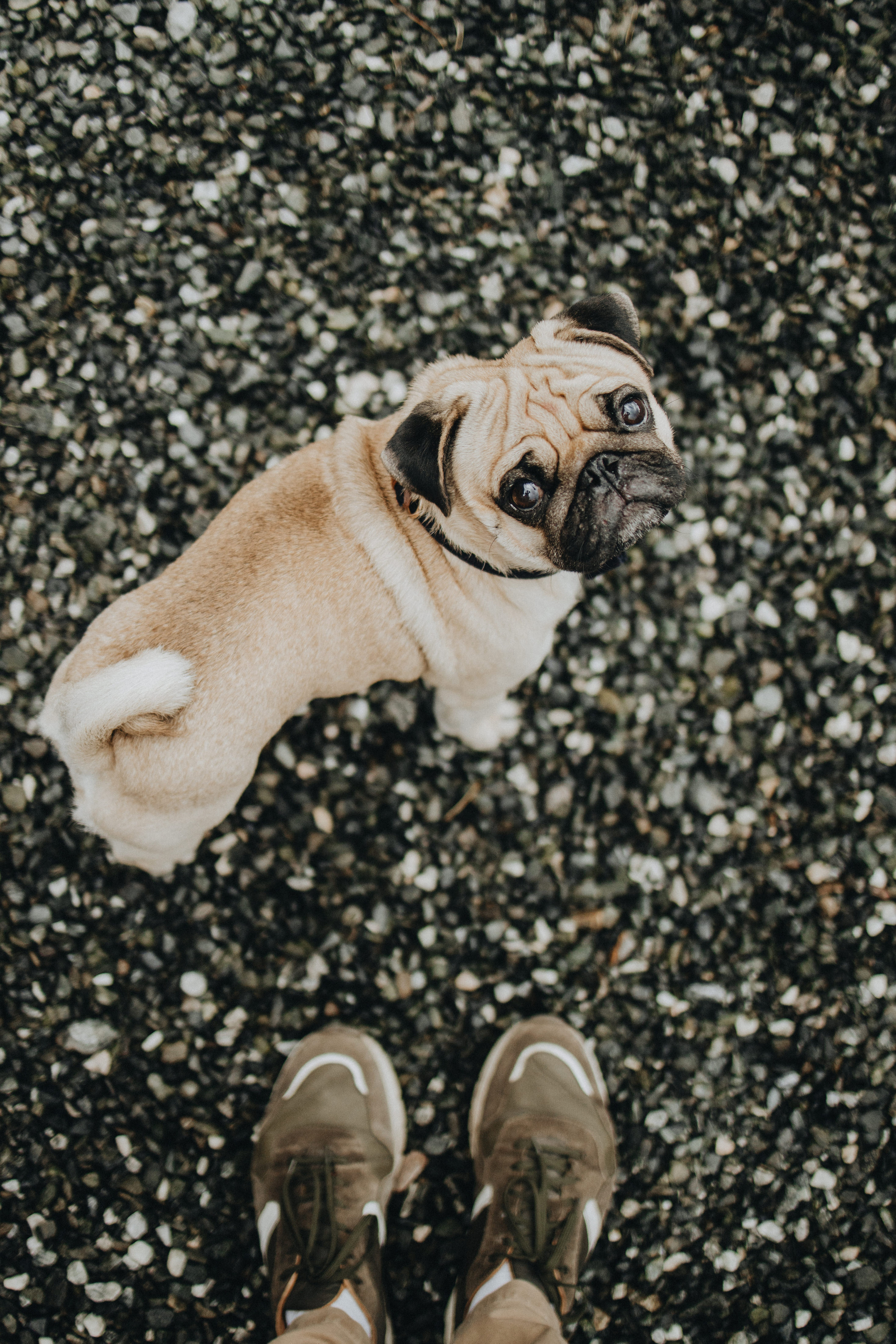 Mountain Wedding Photography in Portland, Seattle, Bend & Oregon Coast | Tonya & Sergey by Georgy Shishkin. Capturing Love in the Heart of the Pacific Northwes