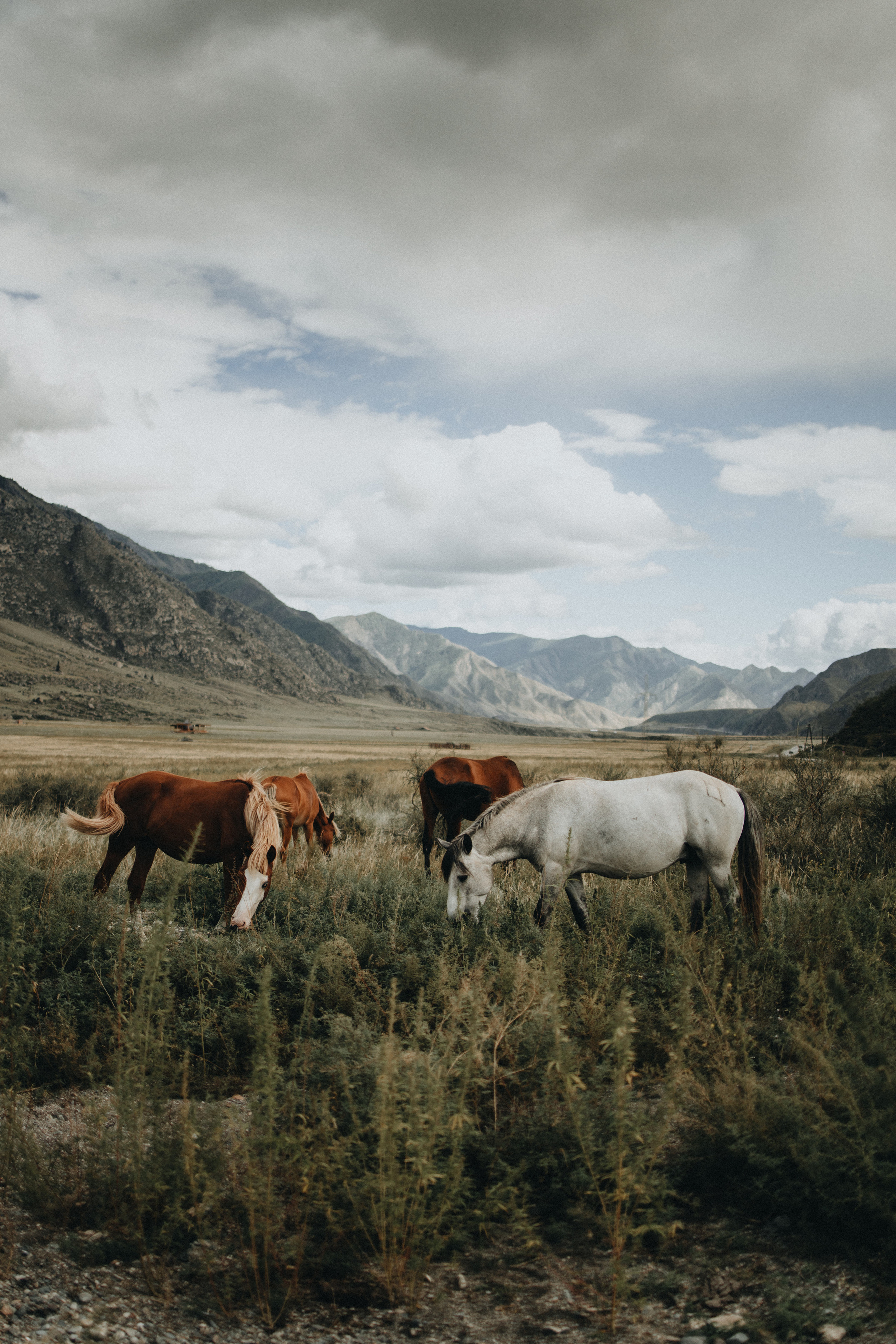 Portland, Seattle, Bend & Oregon Coast Elopement Photography | Alex & Michael's Mountain Wedding by Georgy Shishkin. Capturing Love in the Heart of the Pacific Northwes