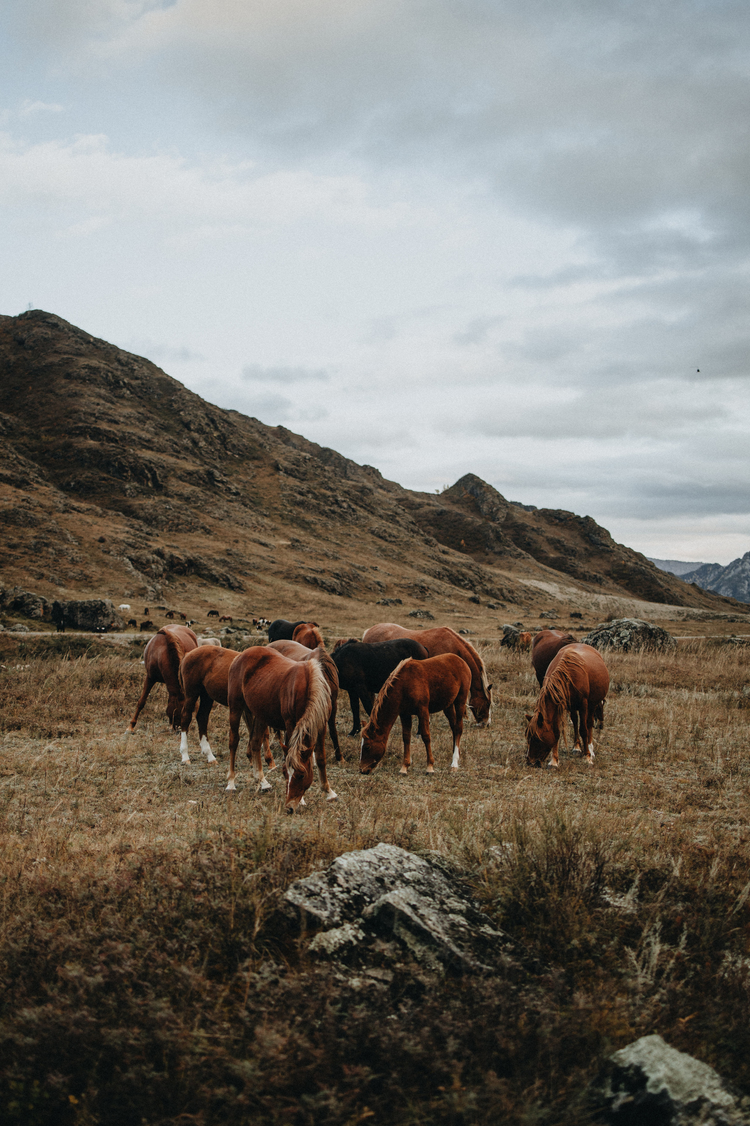Anastasia & Konstantin’s Mountain Elopement Photography | Georgy Shishkin in Portland, Seattle, Bend & Oregon Coast. Capturing Love in the Heart of the Pacific Northwes