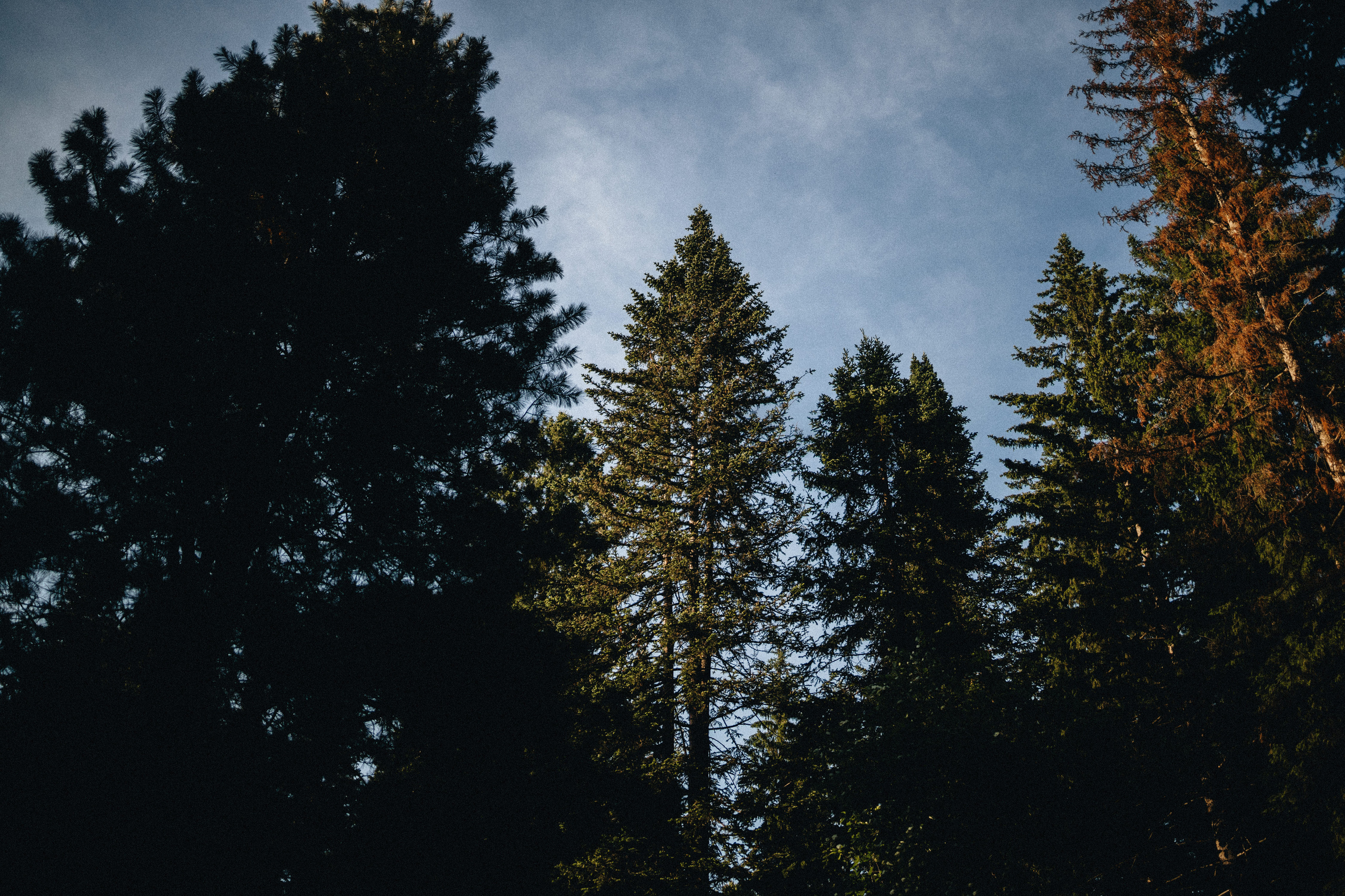Julie & Alex Engagement Photography  | Georgy Shishkin | Photography in Portland, Seattle, Bend & Oregon Coast. Capturing Love in the Heart of the Pacific Northwes