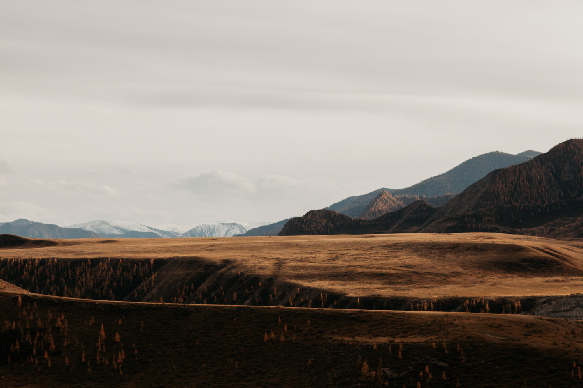 Portland, Seattle, Bend & Oregon Coast Elopement Photography | Olga & Alex Engagement Session by Georgy Shishkin. Capturing Love in the Heart of the Pacific Northwes