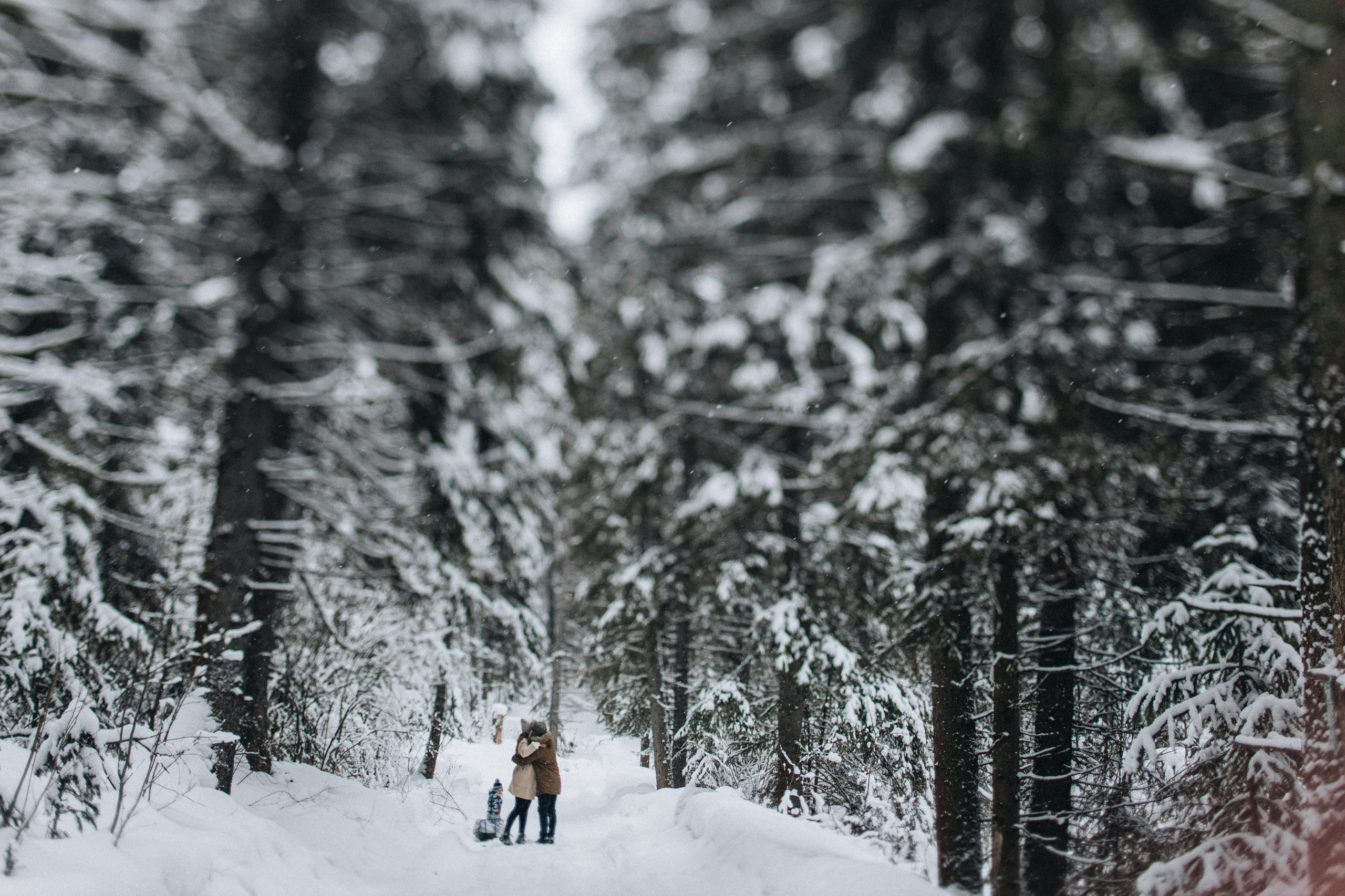 Capture the Warmth of Winter with Family Photography in Portland, Seattle, Bend & Oregon Coast | Georgy Shishkin. Capturing Love in the Heart of the Pacific Northwes