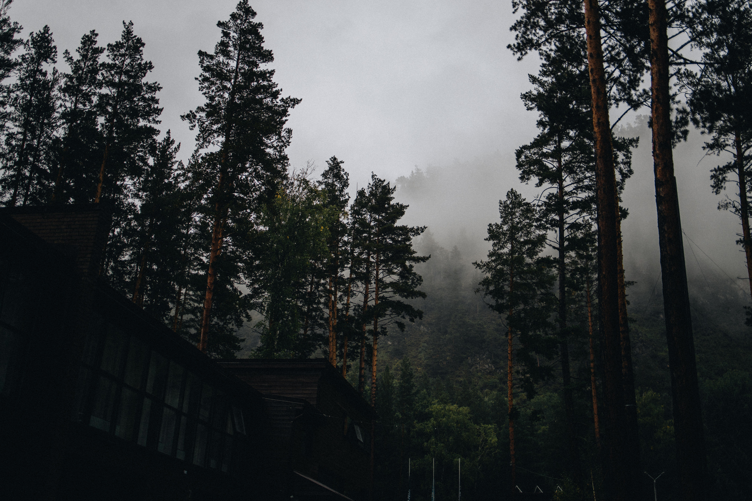 Portland, Seattle, Bend & Oregon Coast Elopement Photography | Alex & Michael's Mountain Wedding by Georgy Shishkin. Capturing Love in the Heart of the Pacific Northwes
