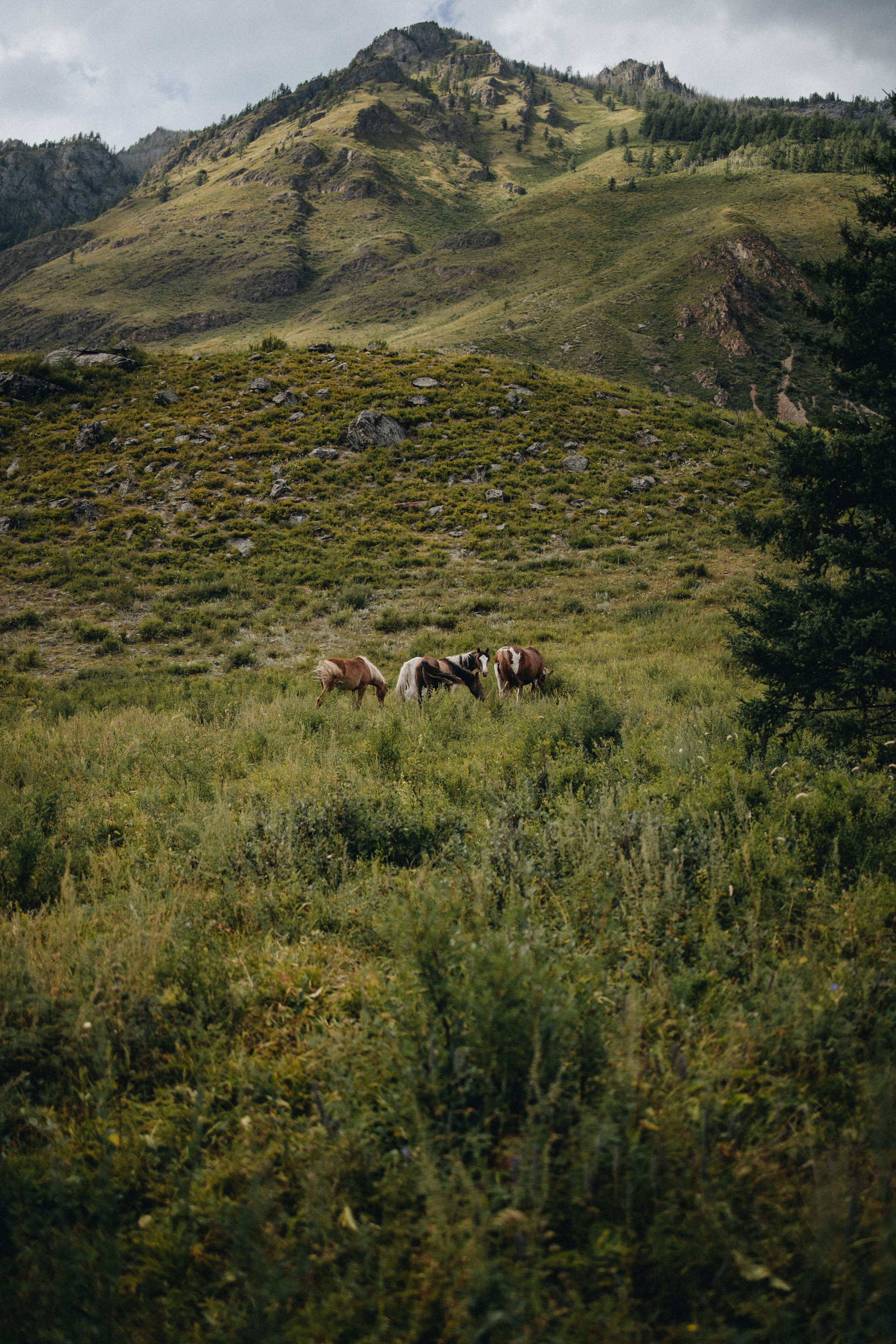 Intimate Mountain Elopement Photography in Portland, Seattle, Bend & Oregon Coast | Ksy & Max | Georgy Shishkin. Capturing Love in the Heart of the Pacific Northwes