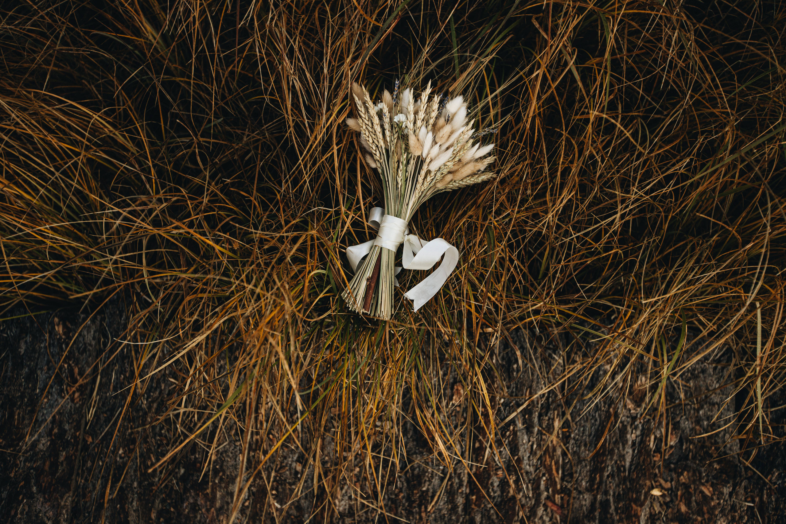 Portland, Seattle, Bend & Oregon Coast Elopement & Wedding Photography | J & J Mountain Adventure by Georgy Shishkin. Capturing Love in the Heart of the Pacific Northwes
