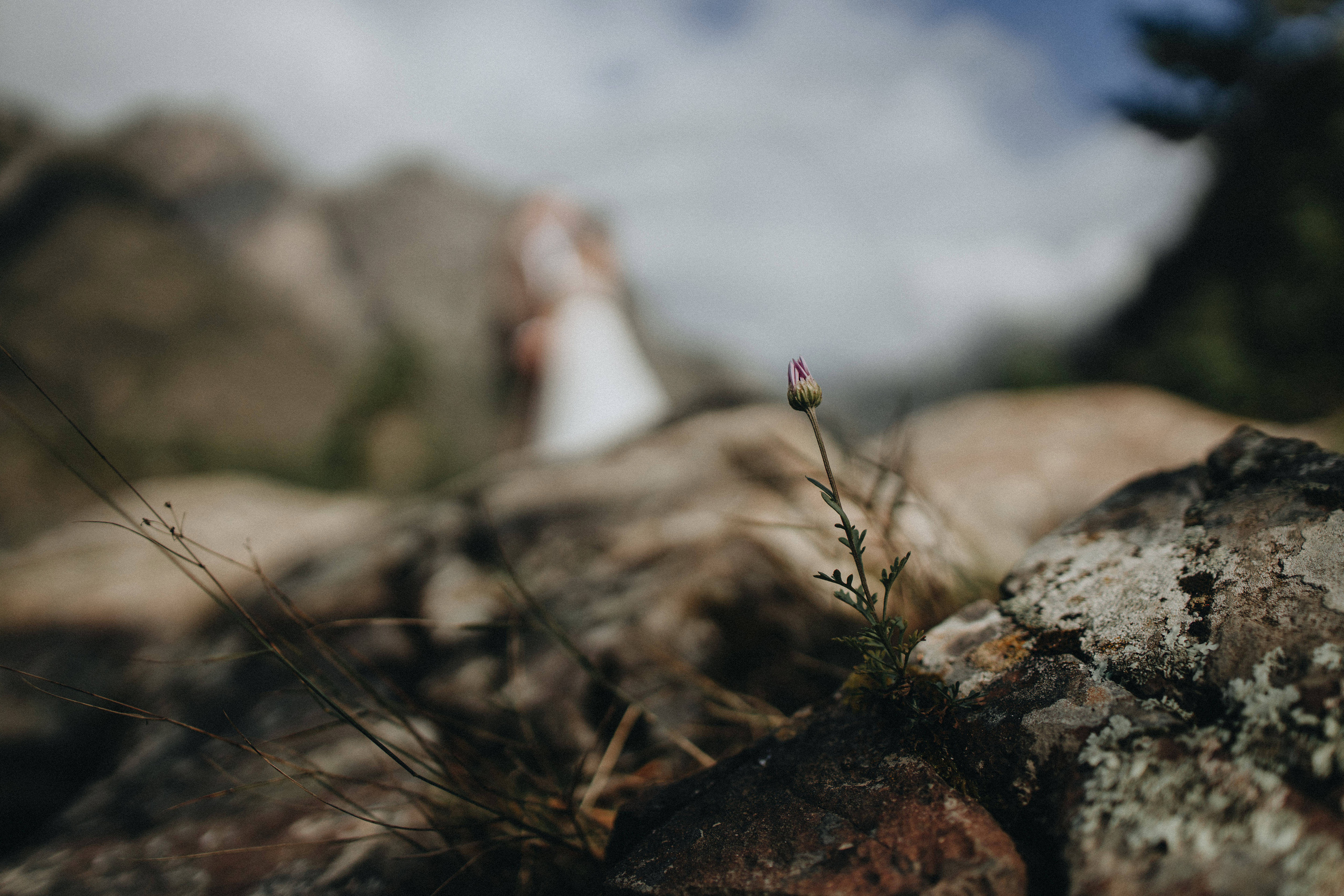 Portland, Seattle, Bend & Oregon Coast Elopement Photography | Alex & Michael's Mountain Wedding by Georgy Shishkin. Capturing Love in the Heart of the Pacific Northwes